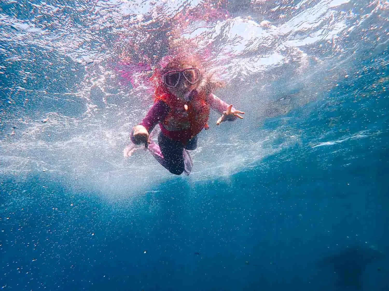 Snorkeling in Sealion Dive Center