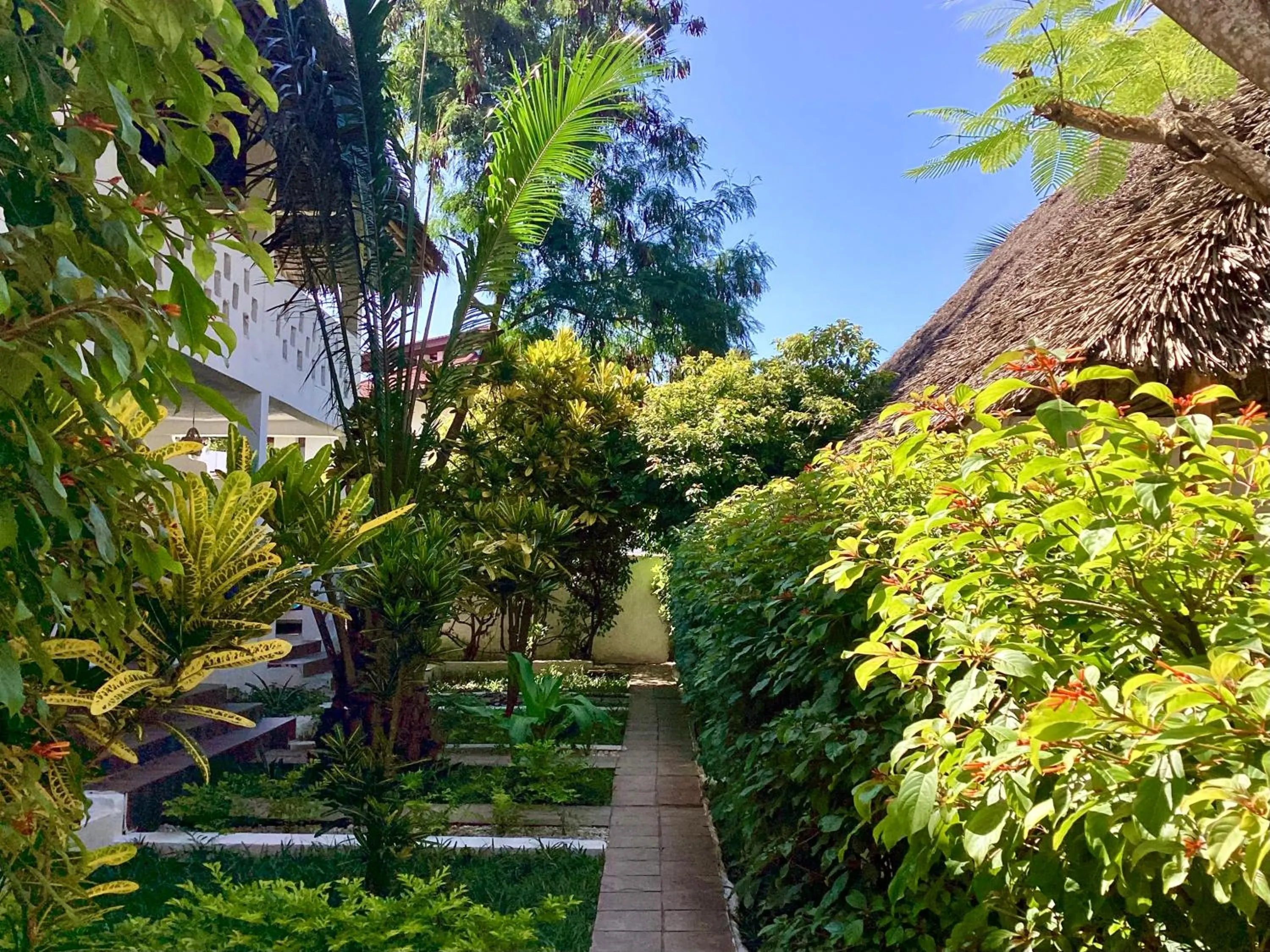 Garden view in Bahati Villa