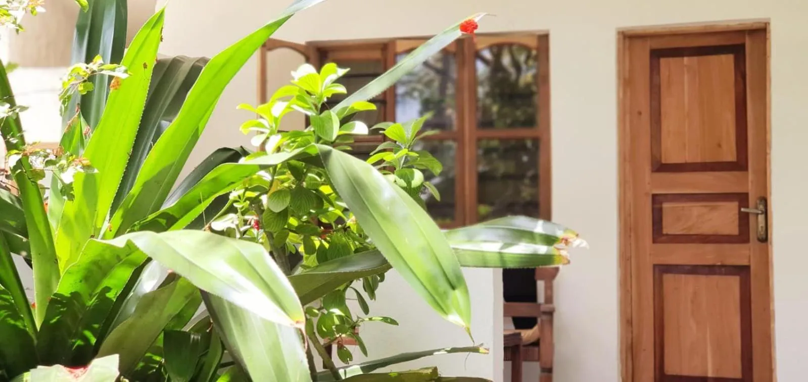 Patio in Bahati Villa