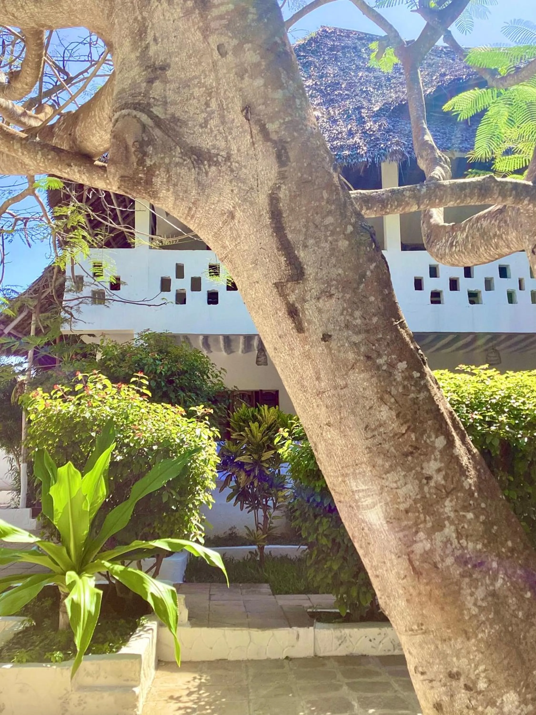 Property building in Bahati Villa