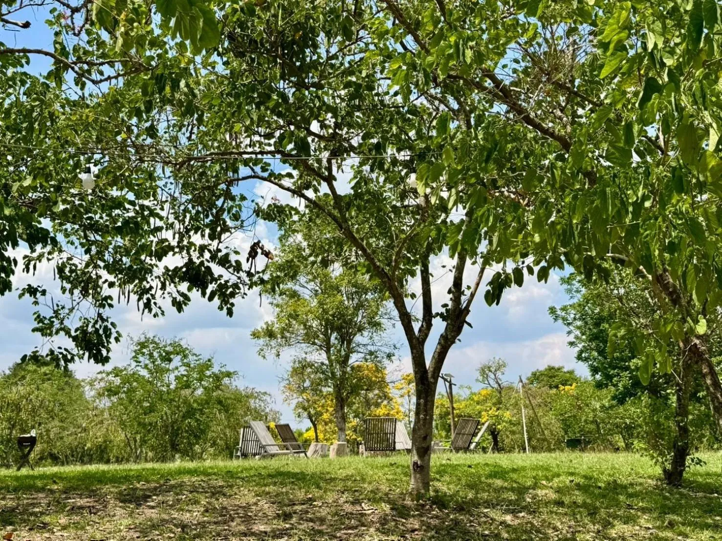 View (from property/room) in Khao Yai Lake Hill Resort