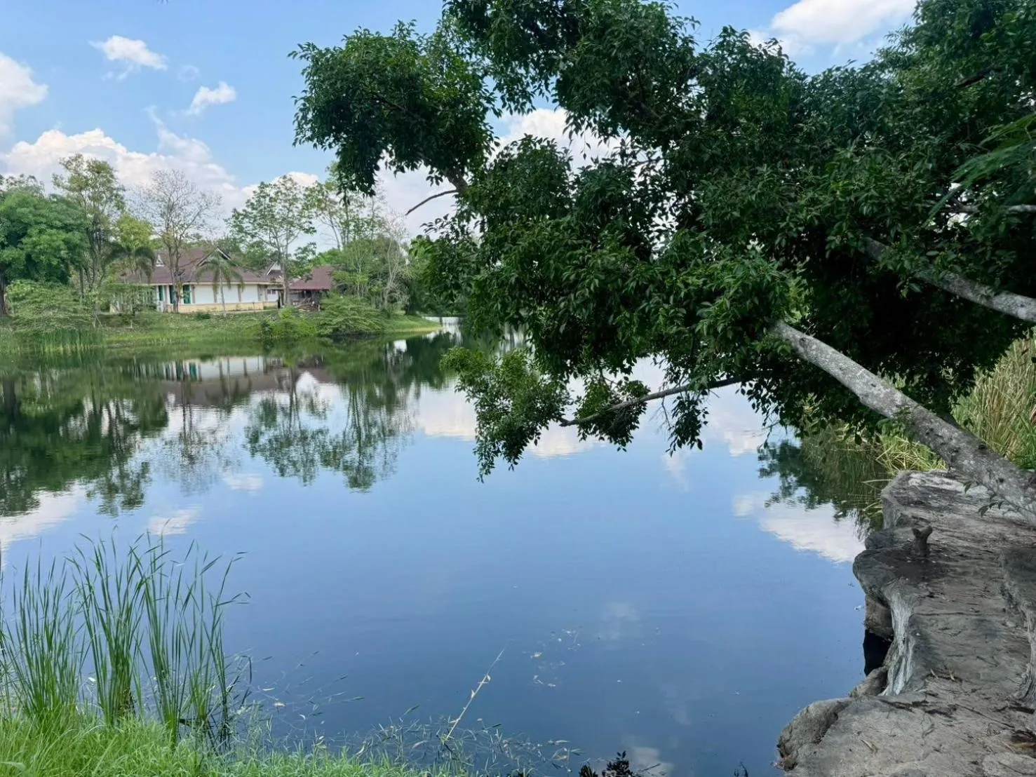 Lake view in Khao Yai Lake Hill Resort