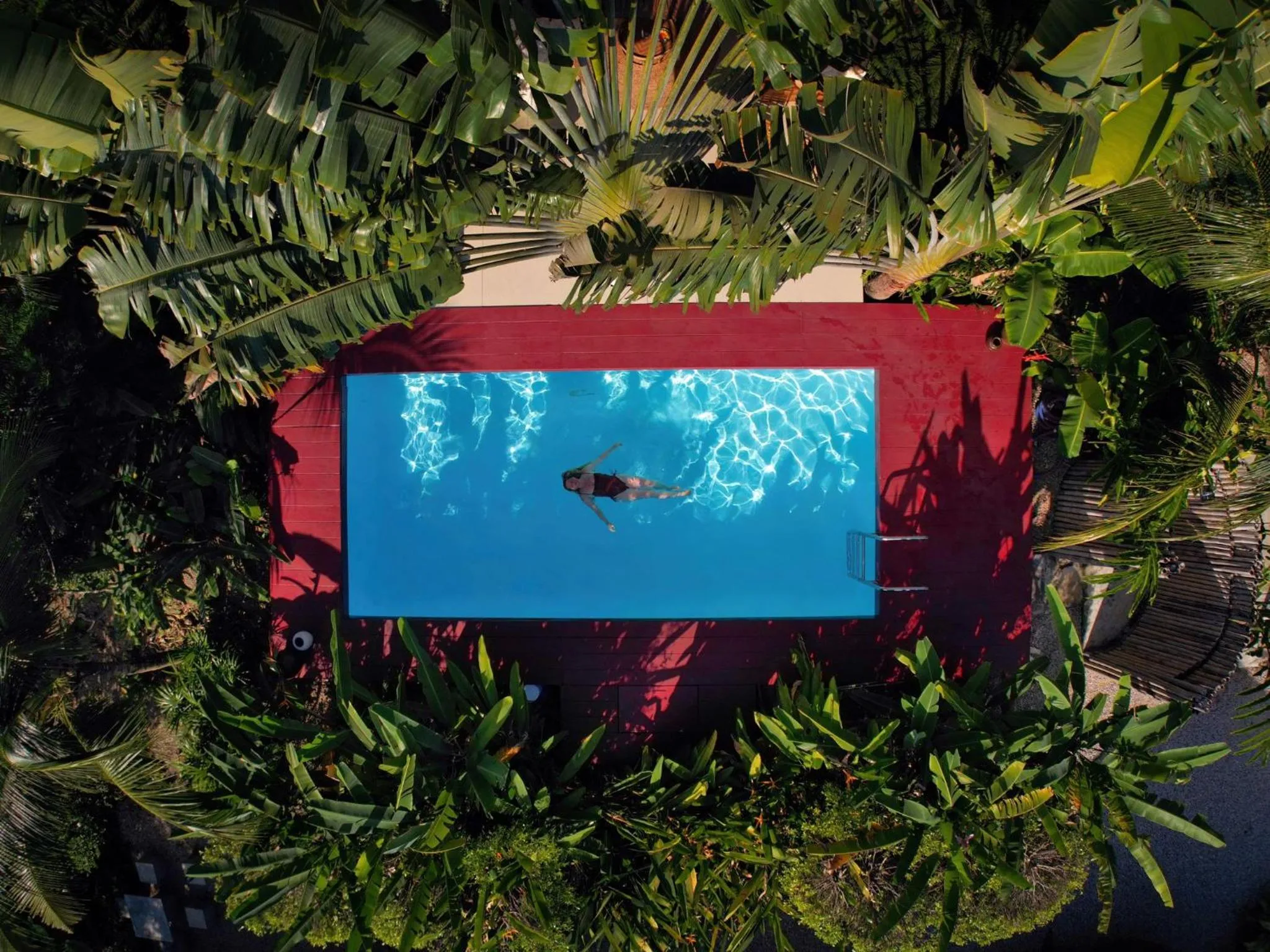 Day in The Canopy Krabi