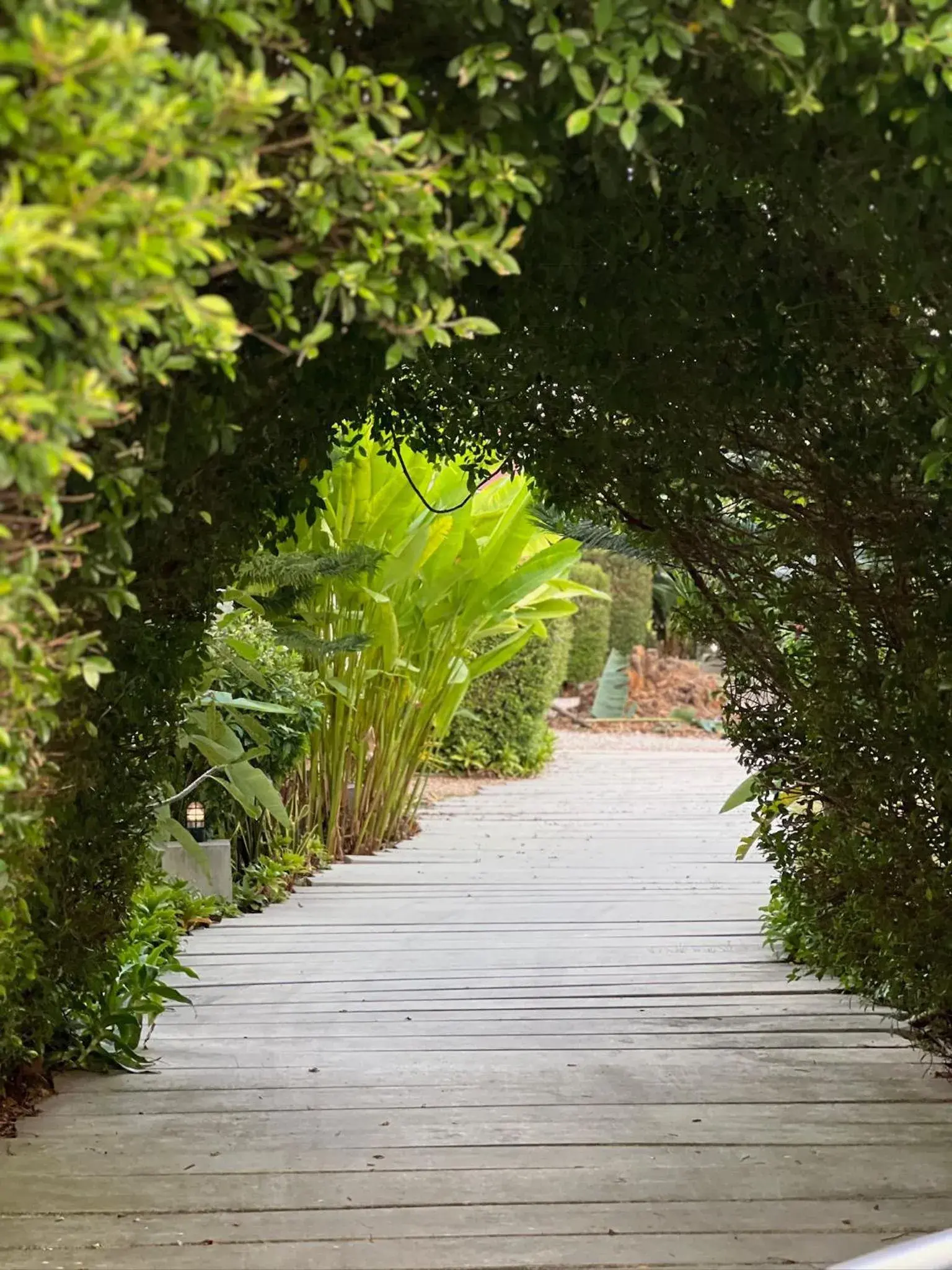 Facade/entrance in The Canopy Krabi Facade/entrance in The Canopy Krabi