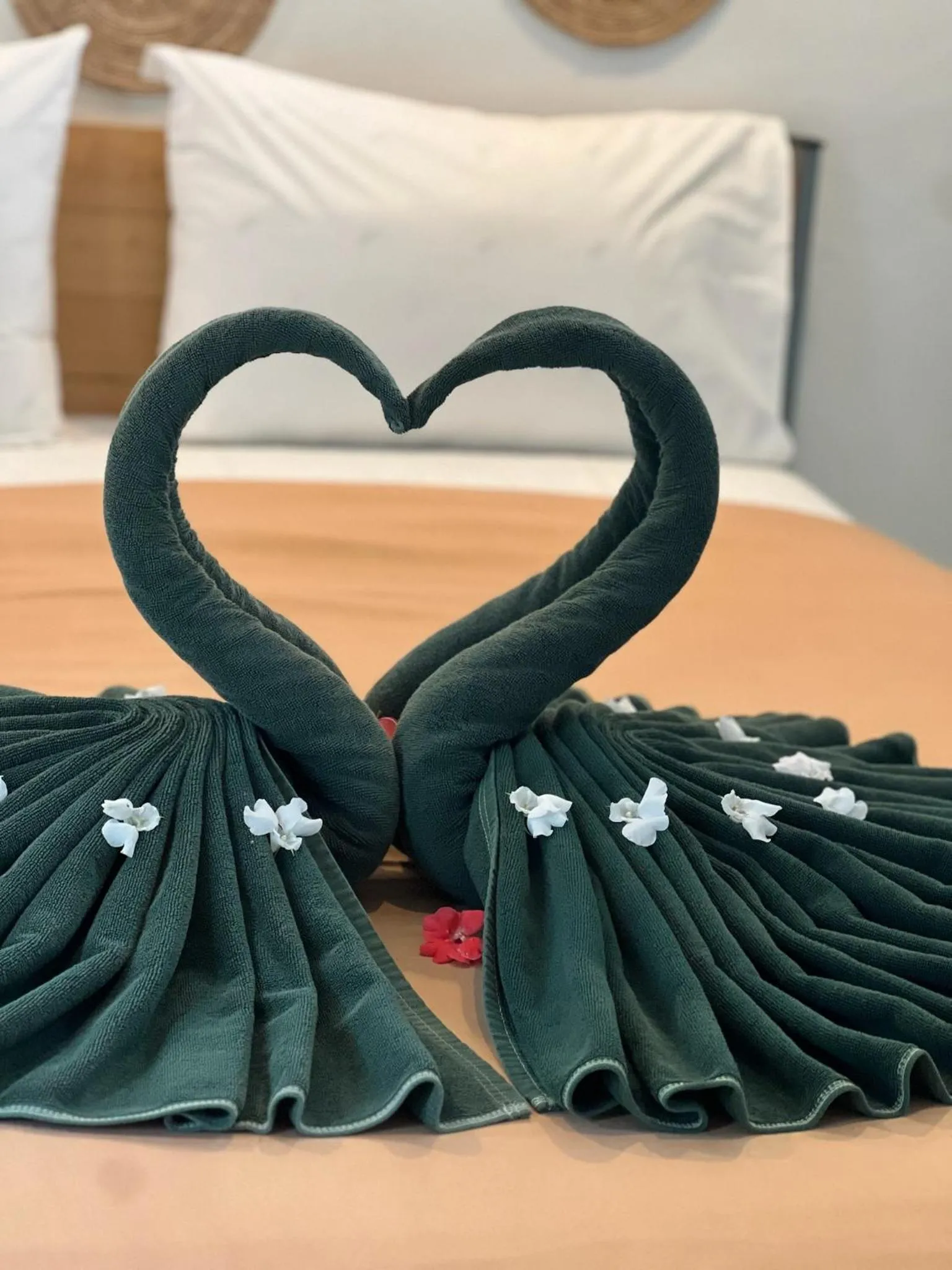 Bedroom, Bed in The Canopy Krabi