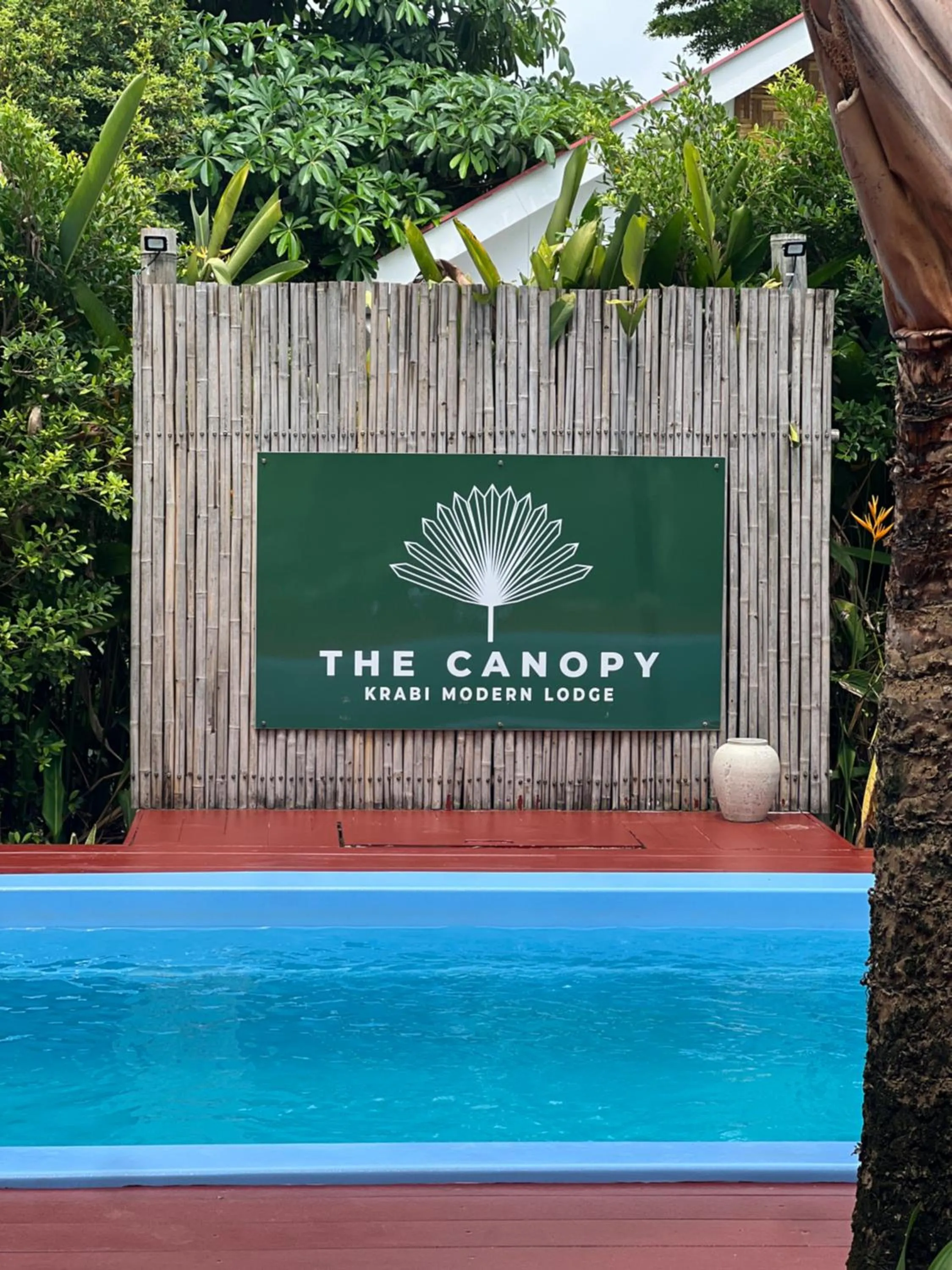 Swimming pool in The Canopy Krabi