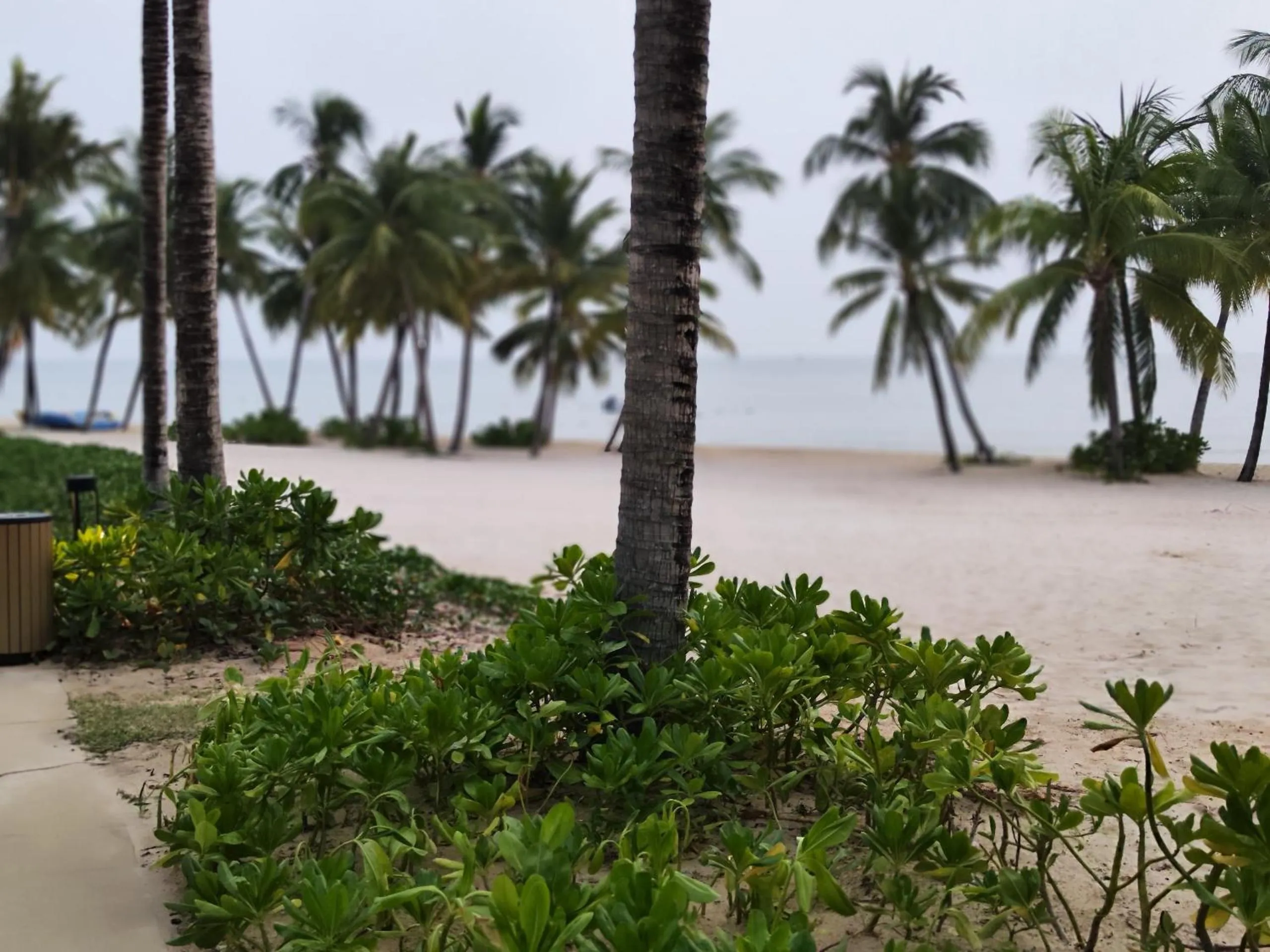 Natural landscape in Stella Marina Boutique Hotel