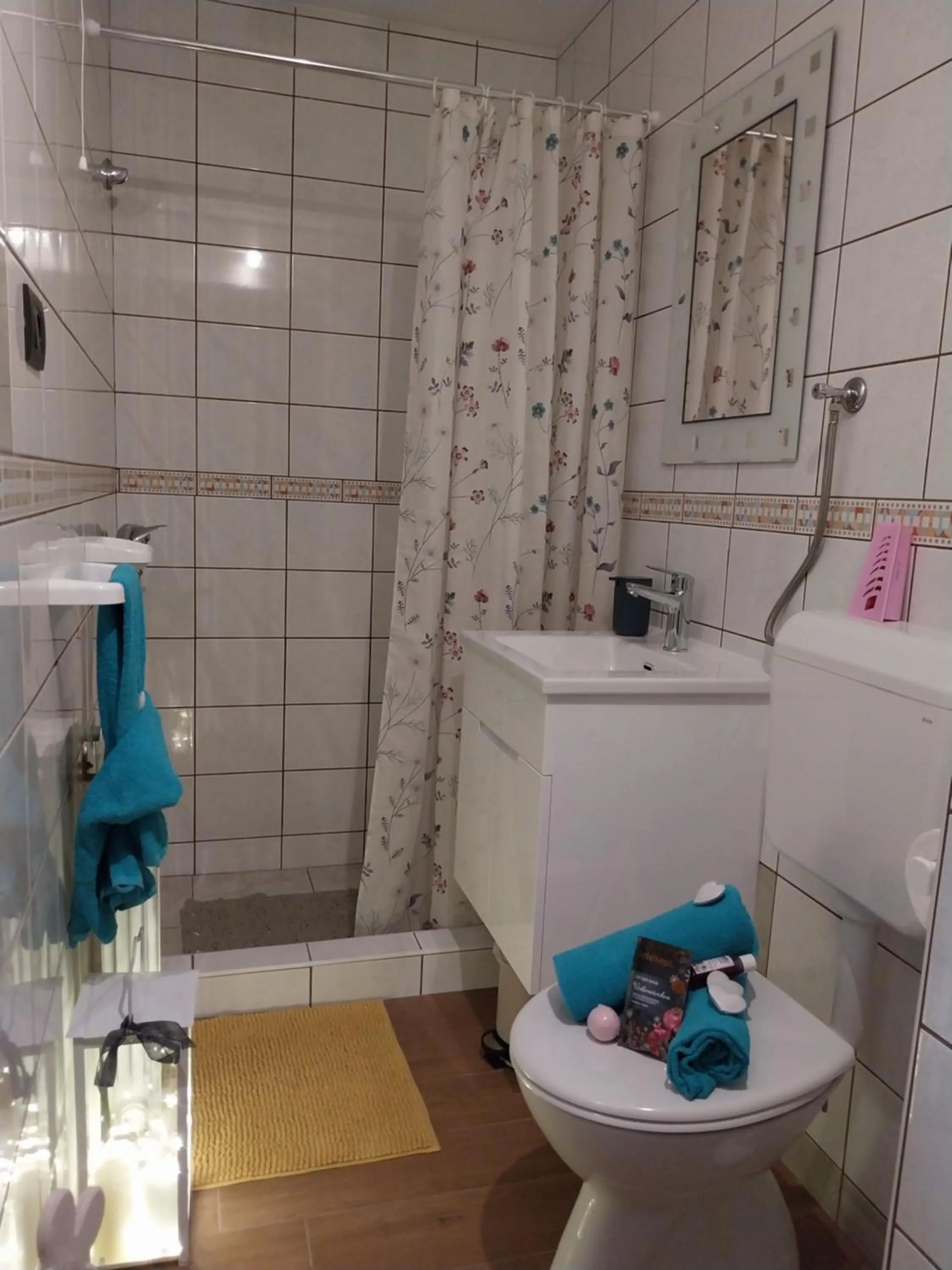 Toilet in Apartment Ada bed & breakfast