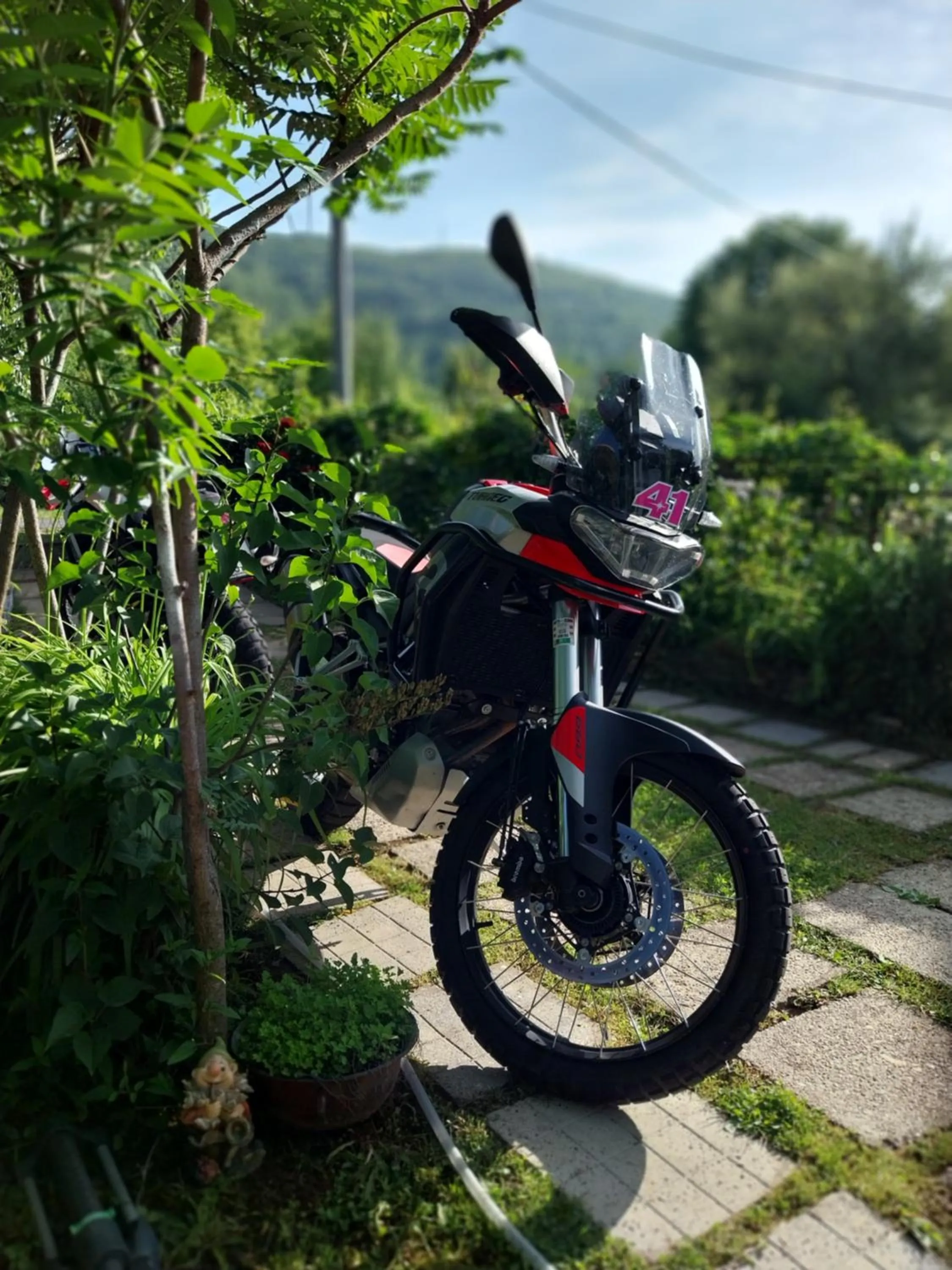 Garden view in Apartment Ada bed & breakfast