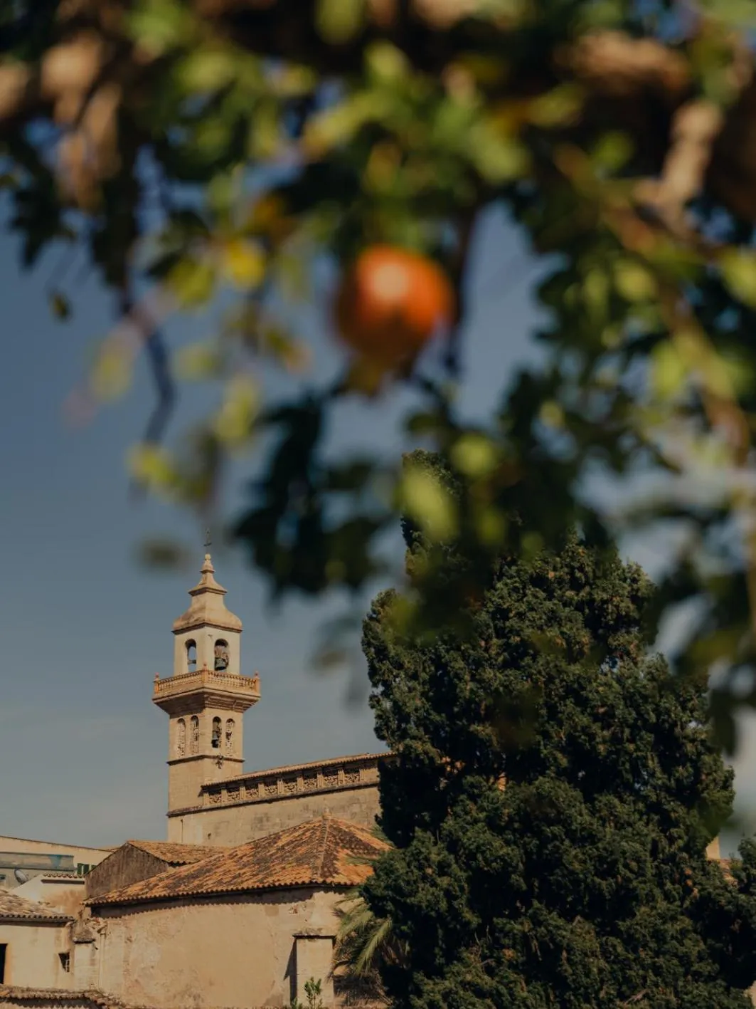 Day in Portella Palma