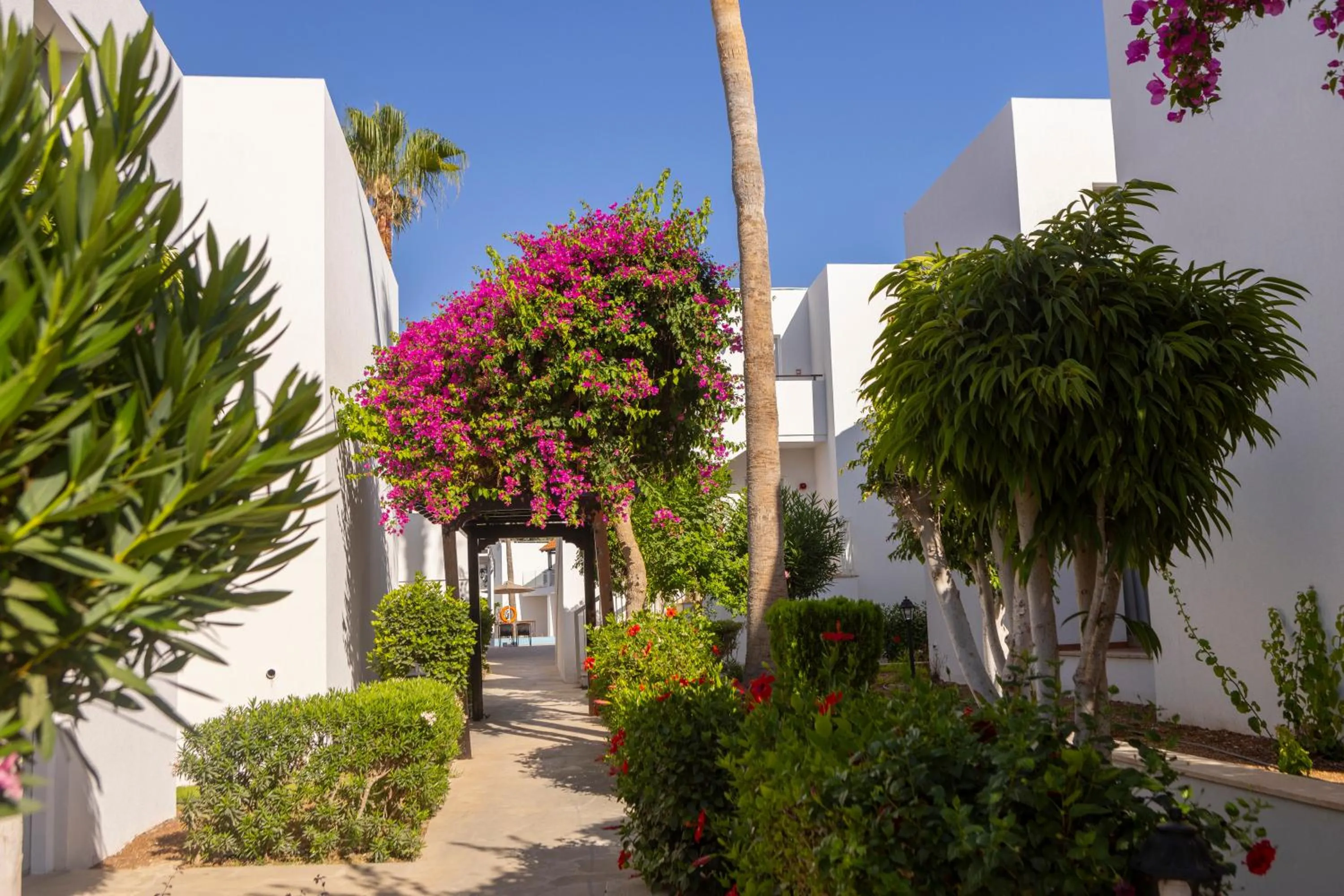Garden view in Kapetanios Aqua Resort