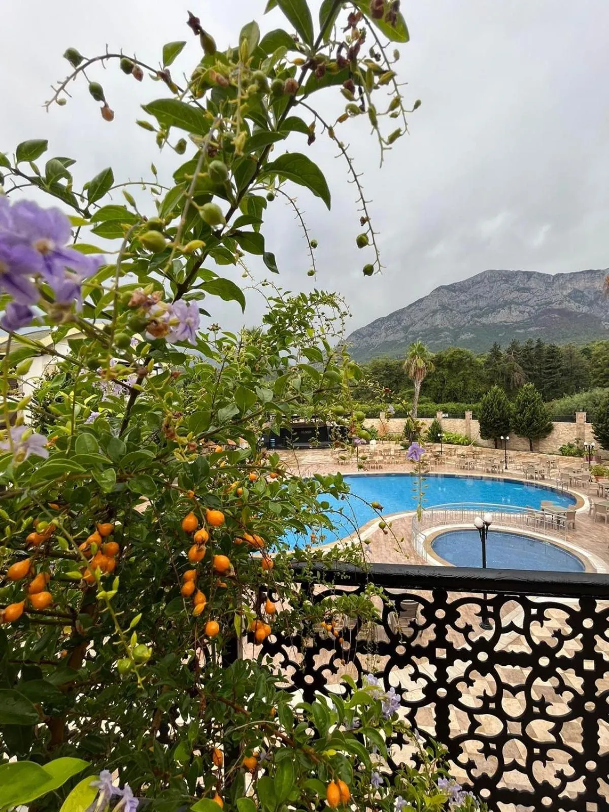 Natural landscape in Elamir Resort Hotel