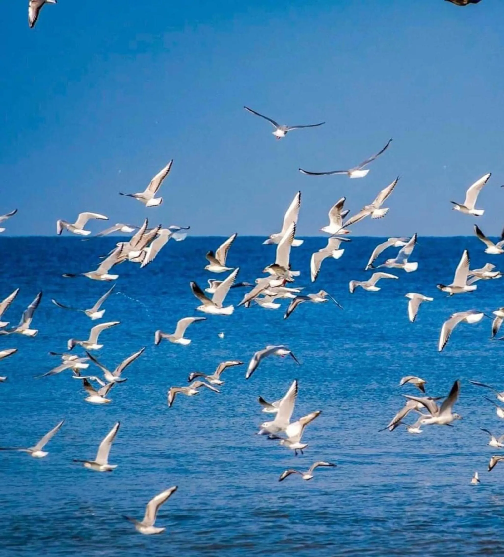 Bird's eye view in INTERSTELLAR ☆ ORBI CITY