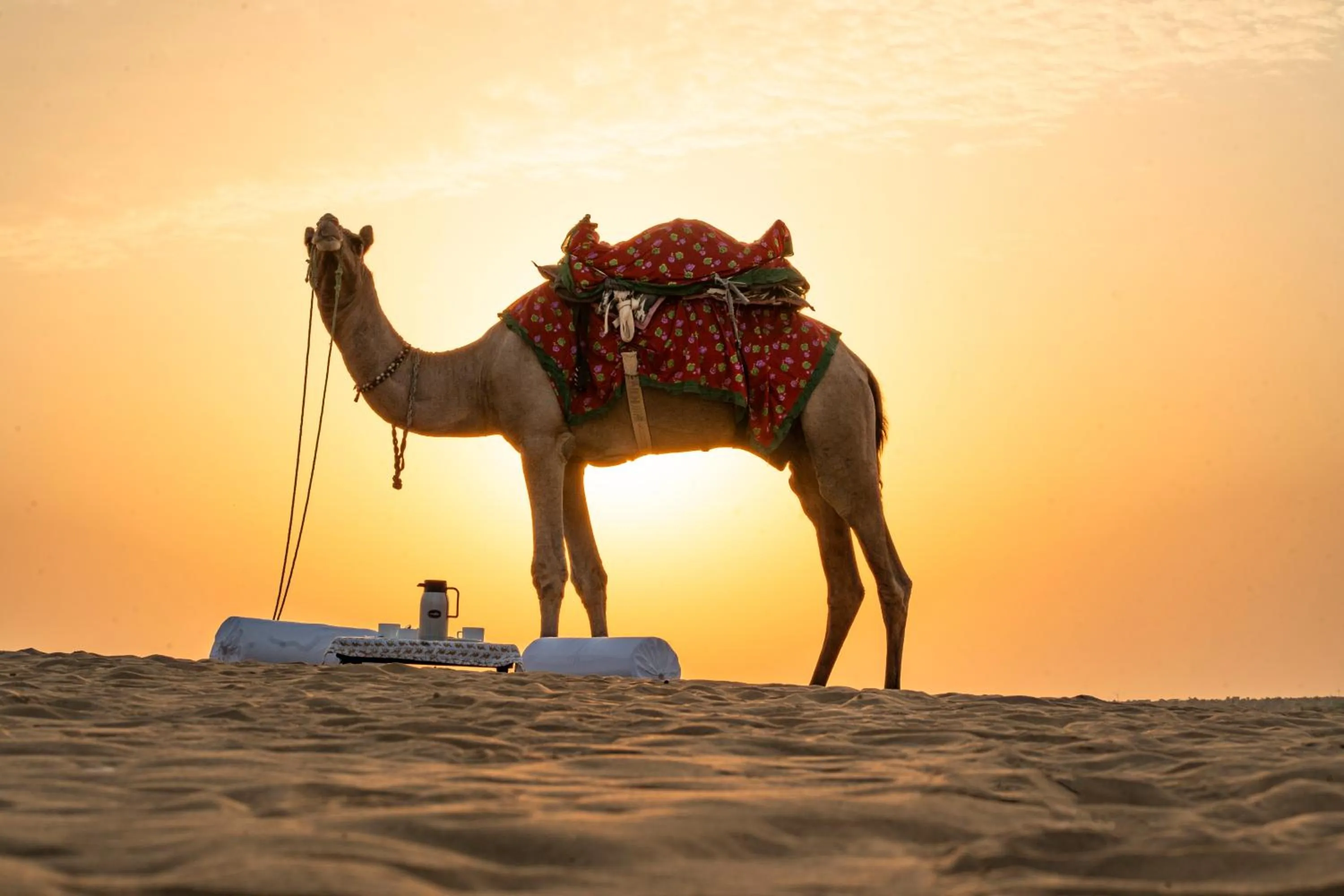 Natural landscape in Marugarh Camp and Resort Jaisalmer