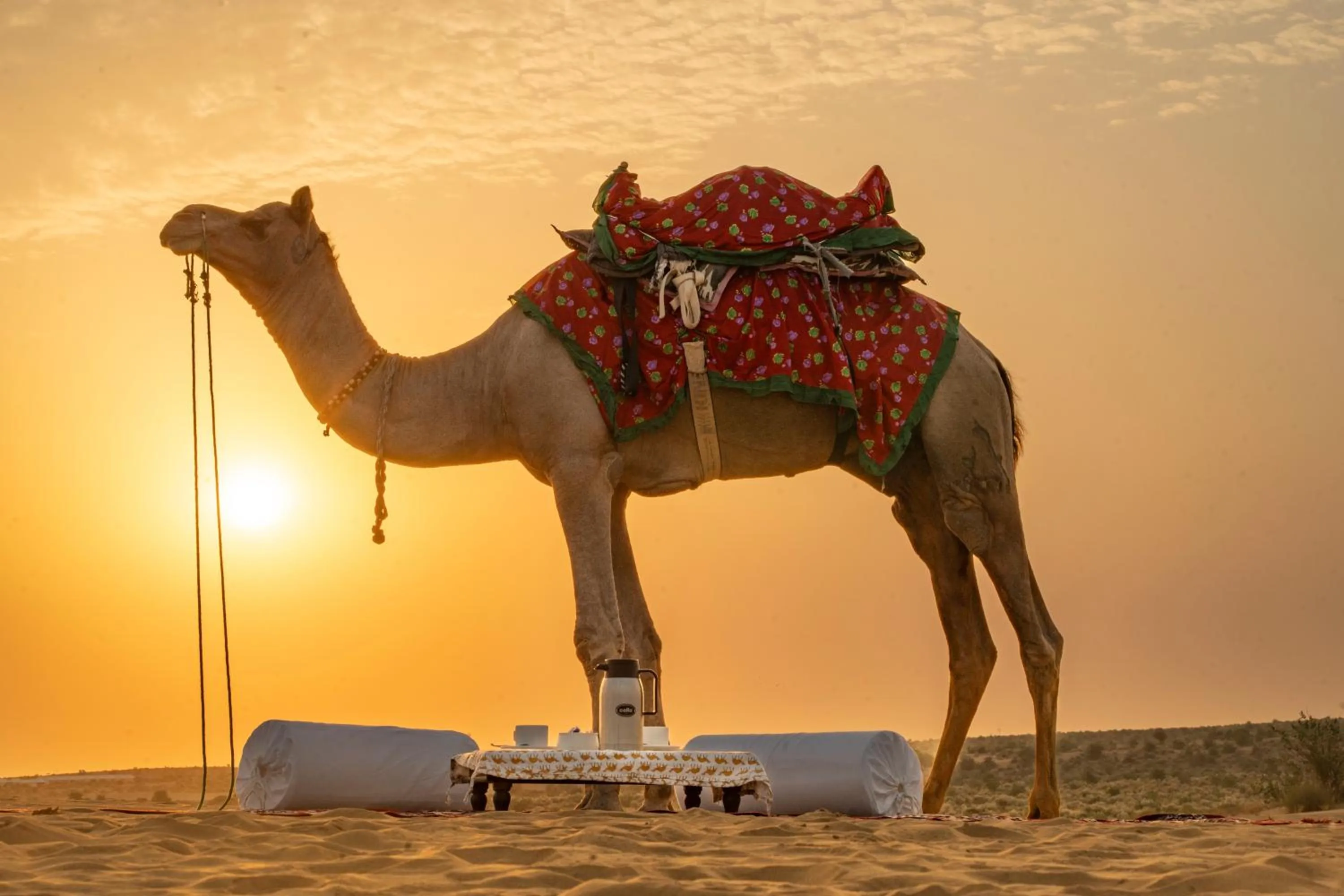 Non alcoholic drinks in Marugarh Camp and Resort Jaisalmer