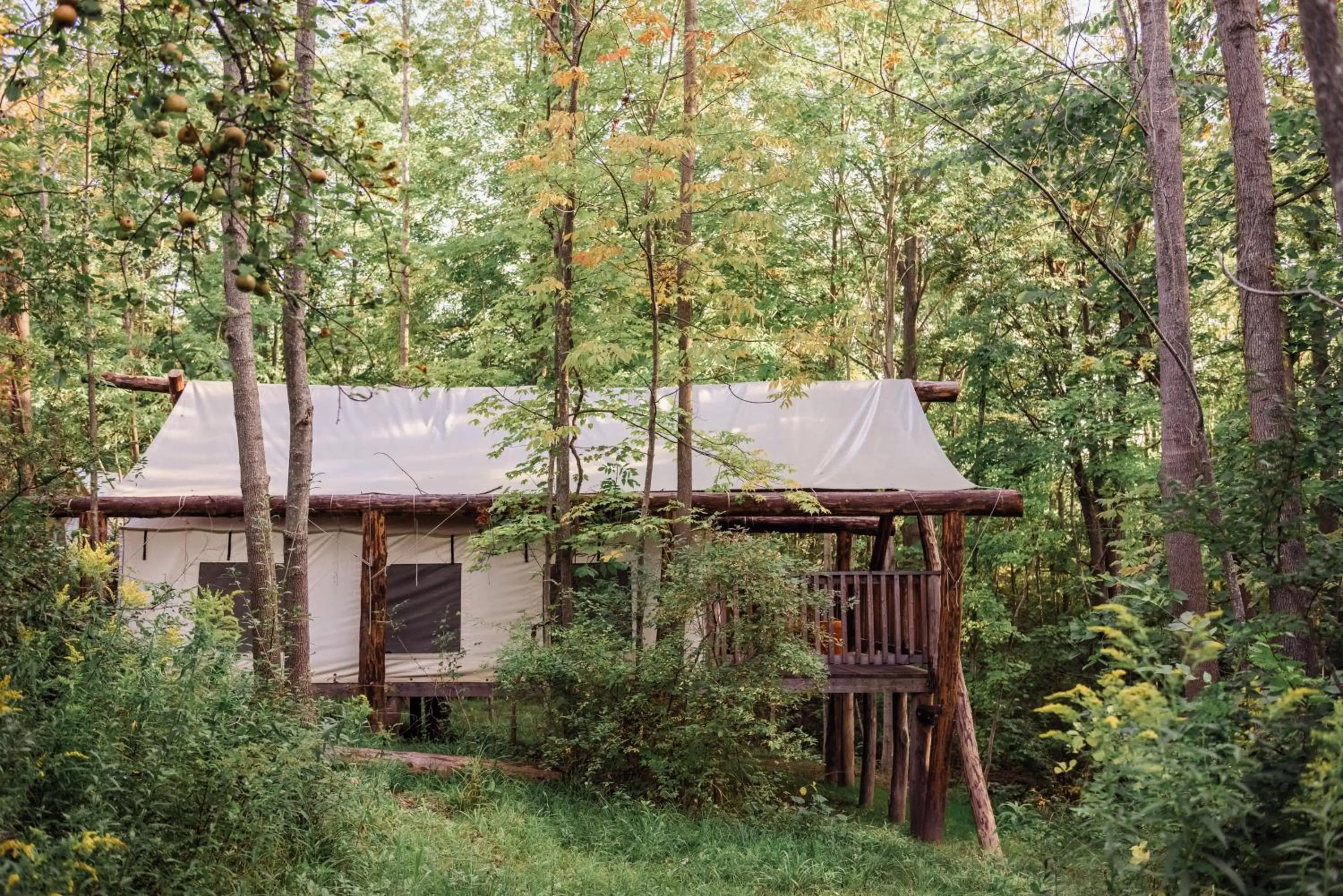 Firelight Camps