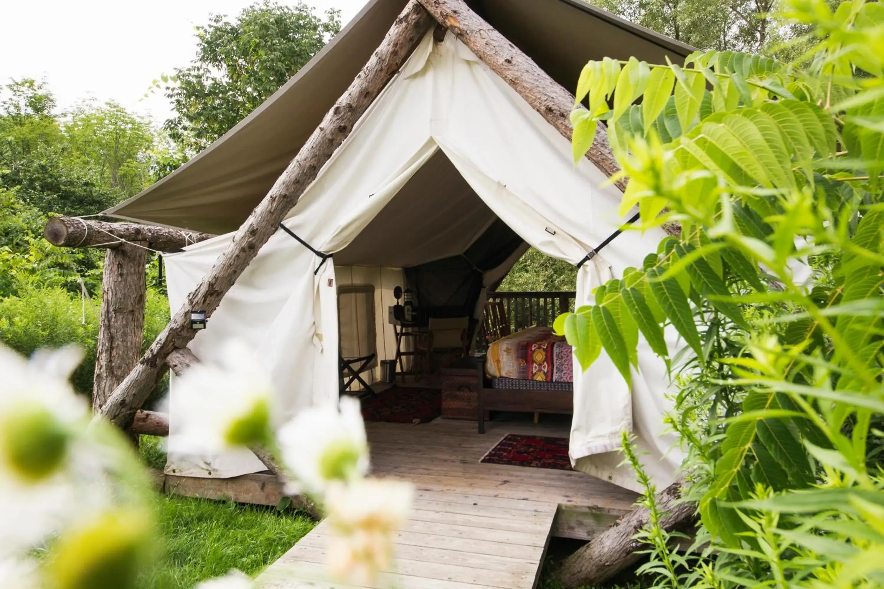 Firelight Camps Firelight Camps