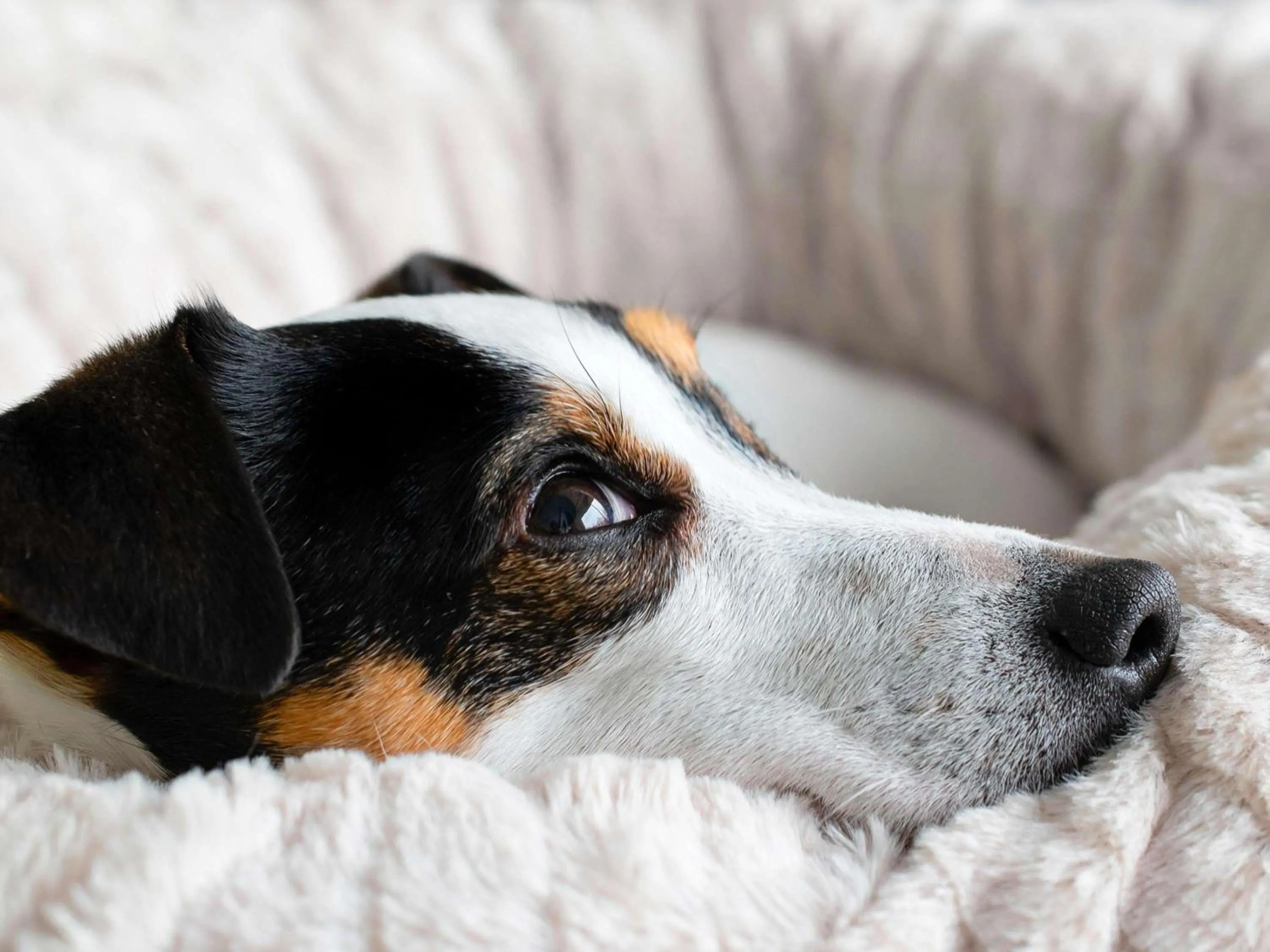 Other in ibis budget Poitiers Sud