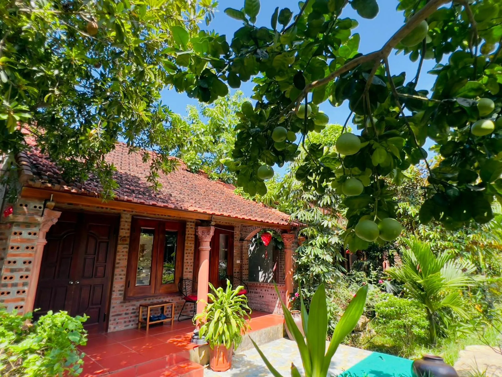 Garden in Ninh Binh Family Homestay