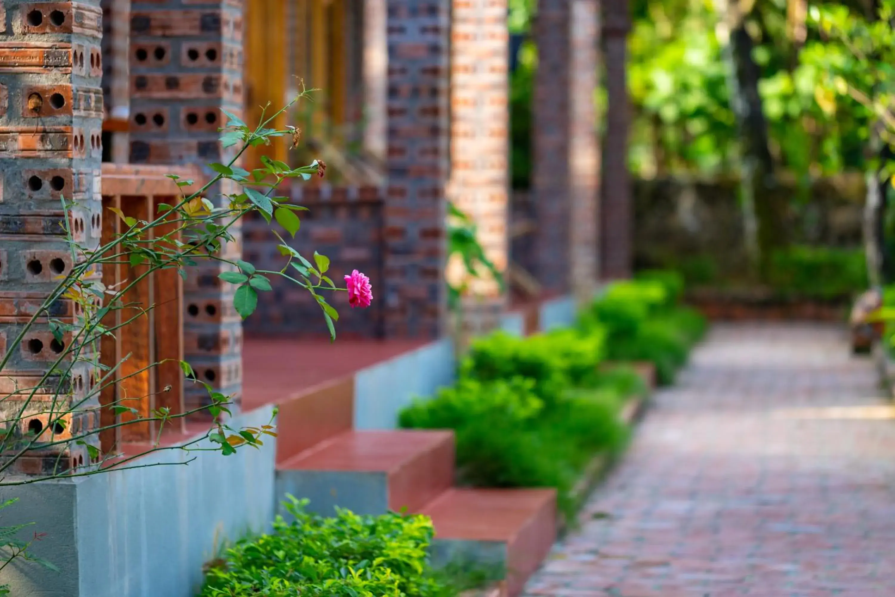 Superior Double Room in Ninh Bình Family Homestay Superior Double Room in Ninh Bình Family Homestay