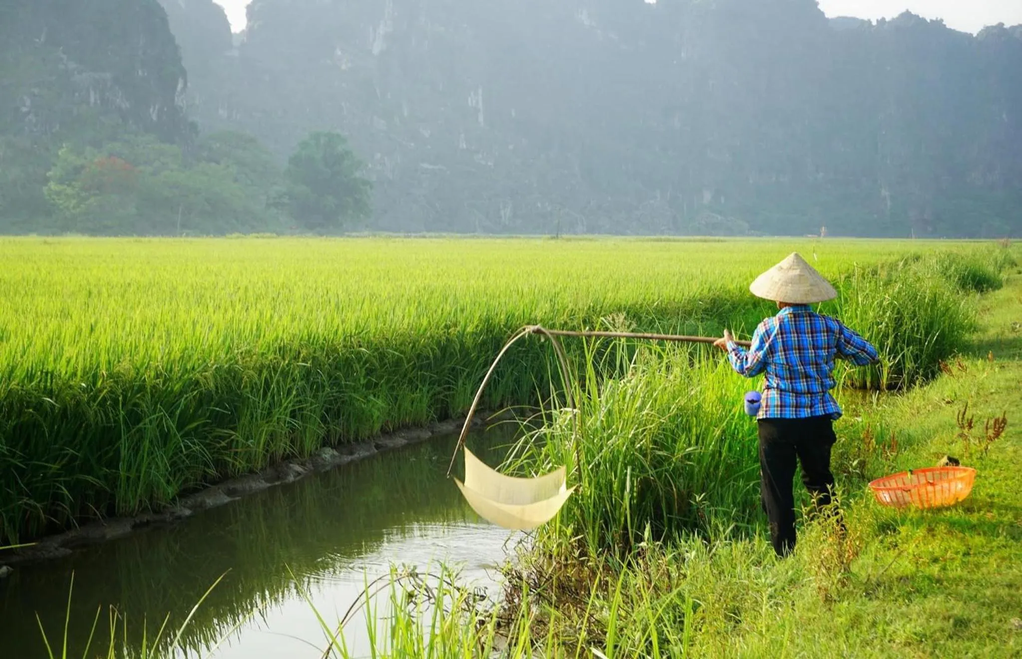 Spring in Ninh Binh Family Homestay