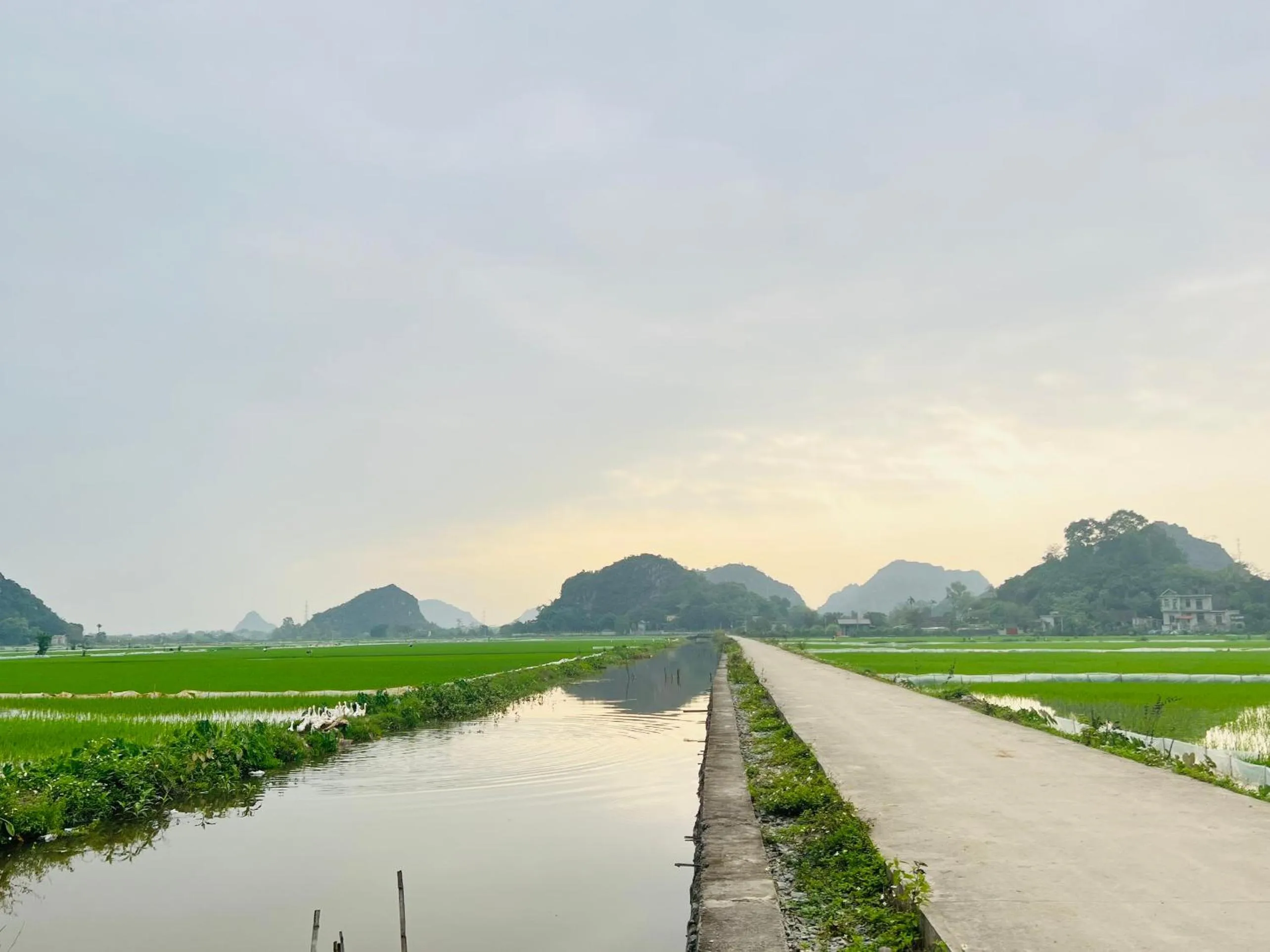 Neighbourhood in Ninh Binh Family Homestay