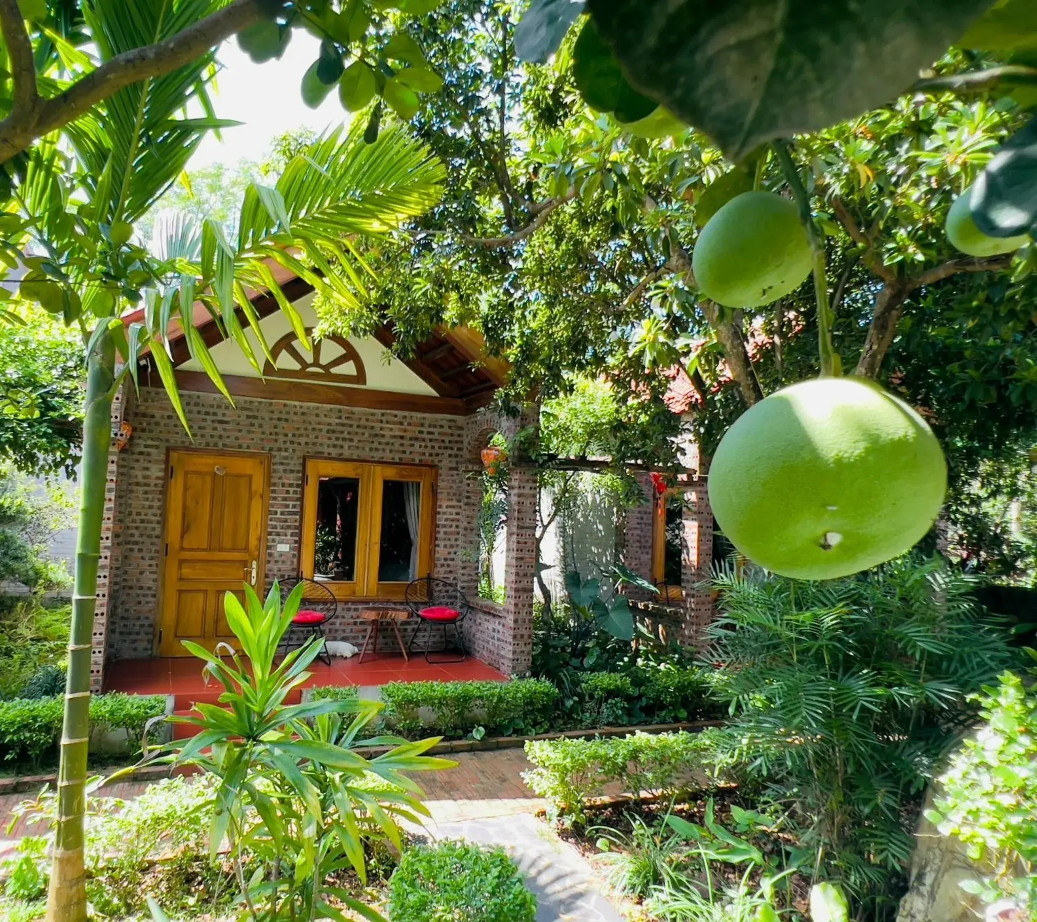 Triple Room with Pool View - single occupancy in Ninh Binh Family Homestay Triple Room with Pool View - single occupancy in Ninh Binh Family Homestay