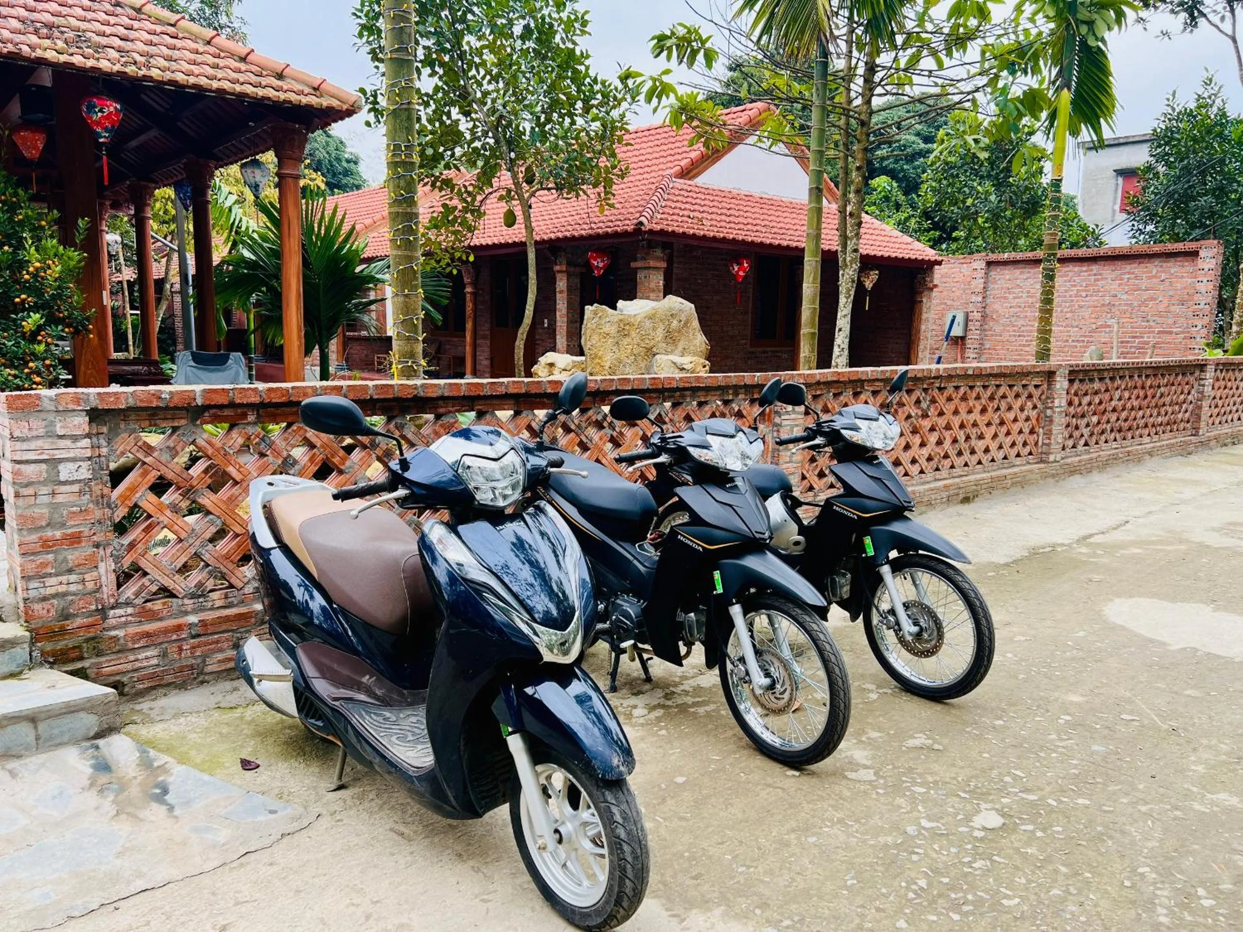 Cycling in Ninh Binh Family Homestay