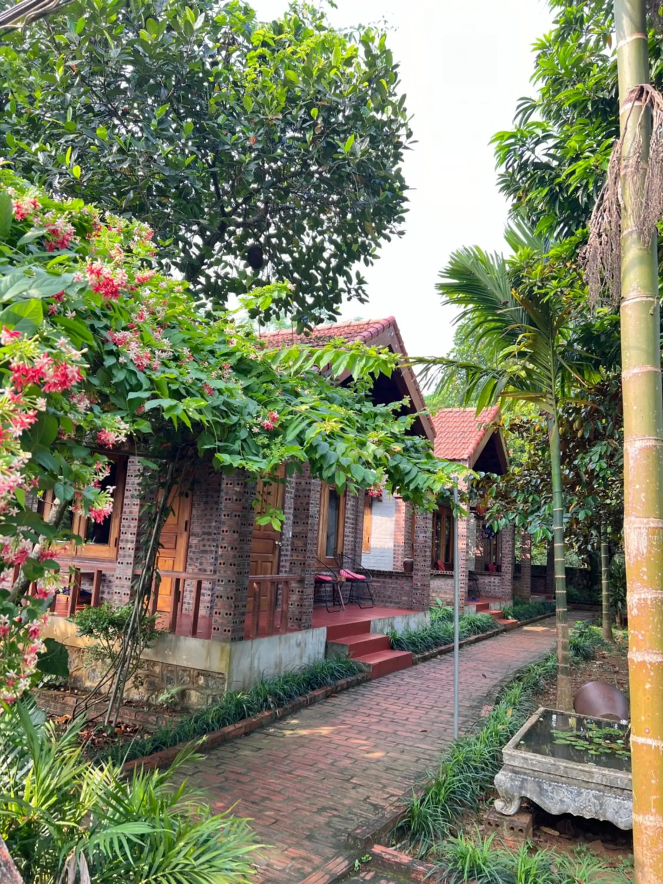 Quiet street view in Ninh Binh Family Homestay Quiet street view in Ninh Binh Family Homestay