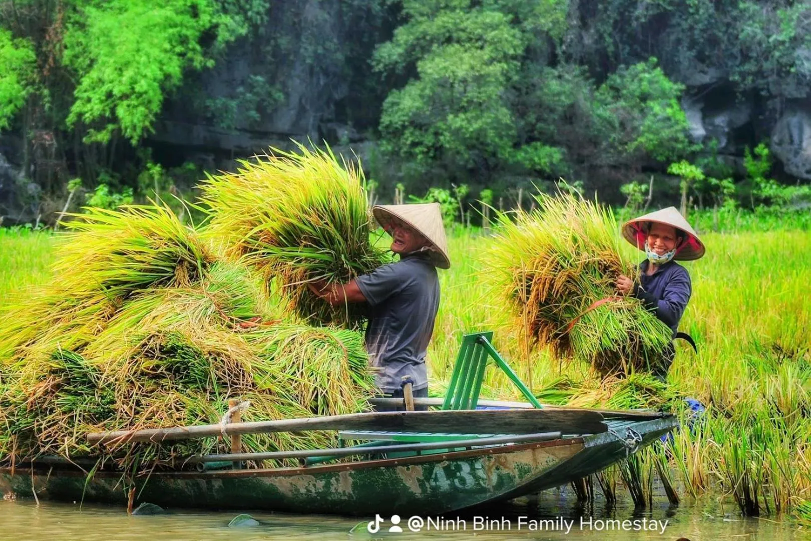 Natural landscape in Ninh Binh Family Homestay