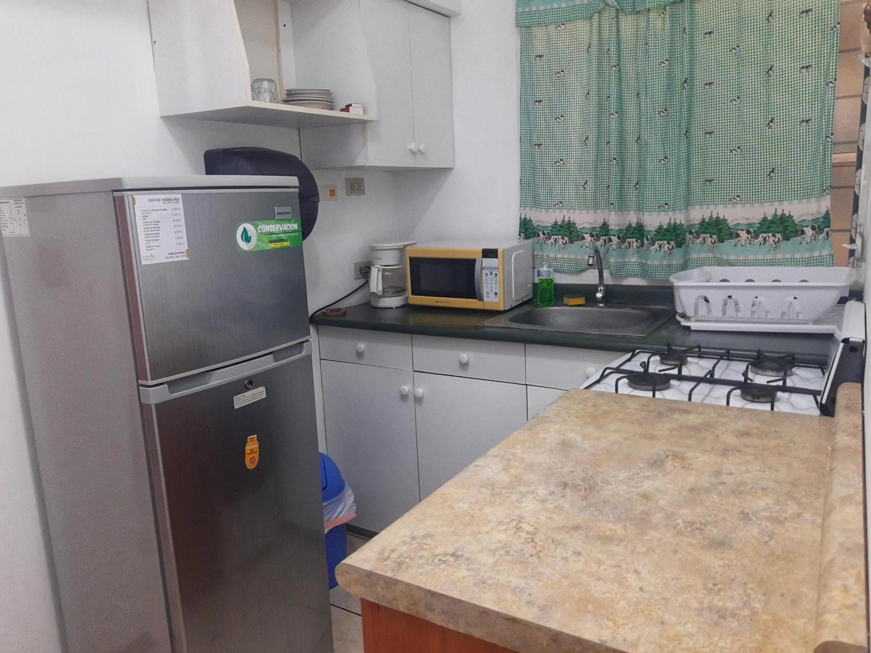 Kitchen or kitchenette in Suites & Apartments San Benito - Zona Rosa