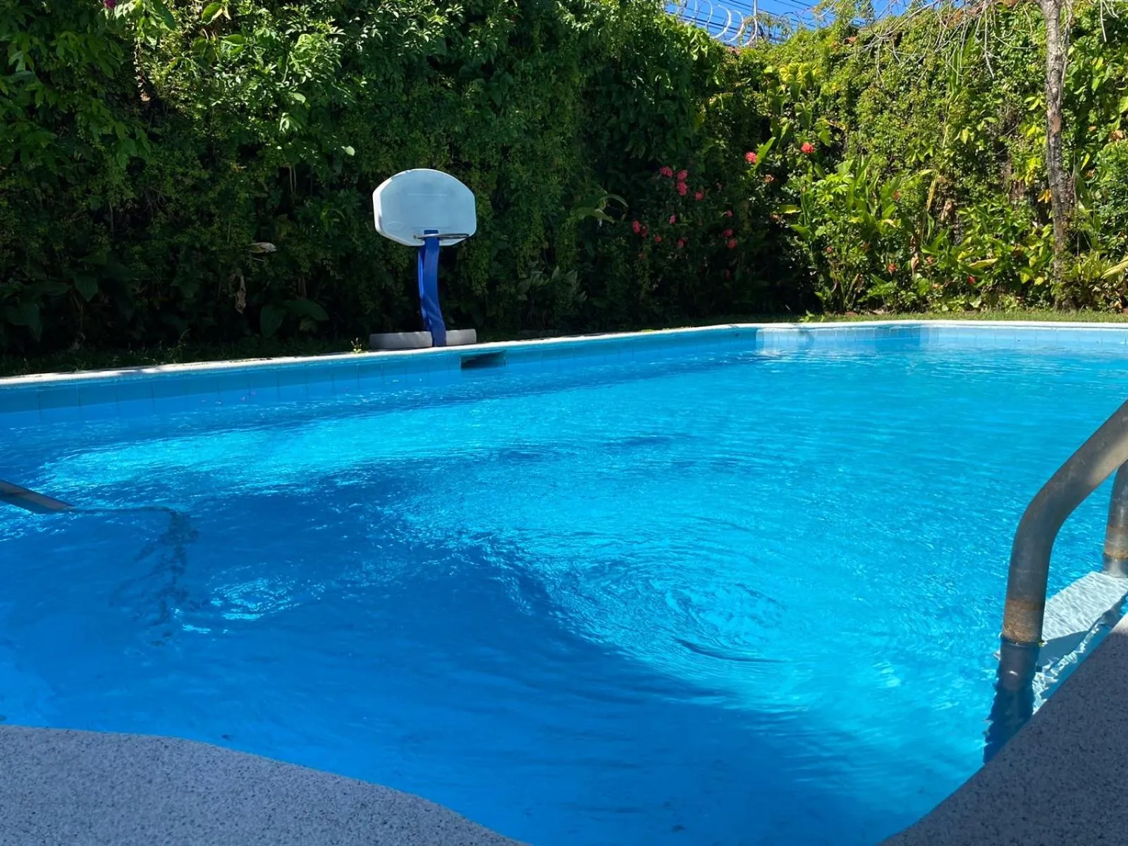 Swimming pool in Suites & Apartments San Benito - Zona Rosa