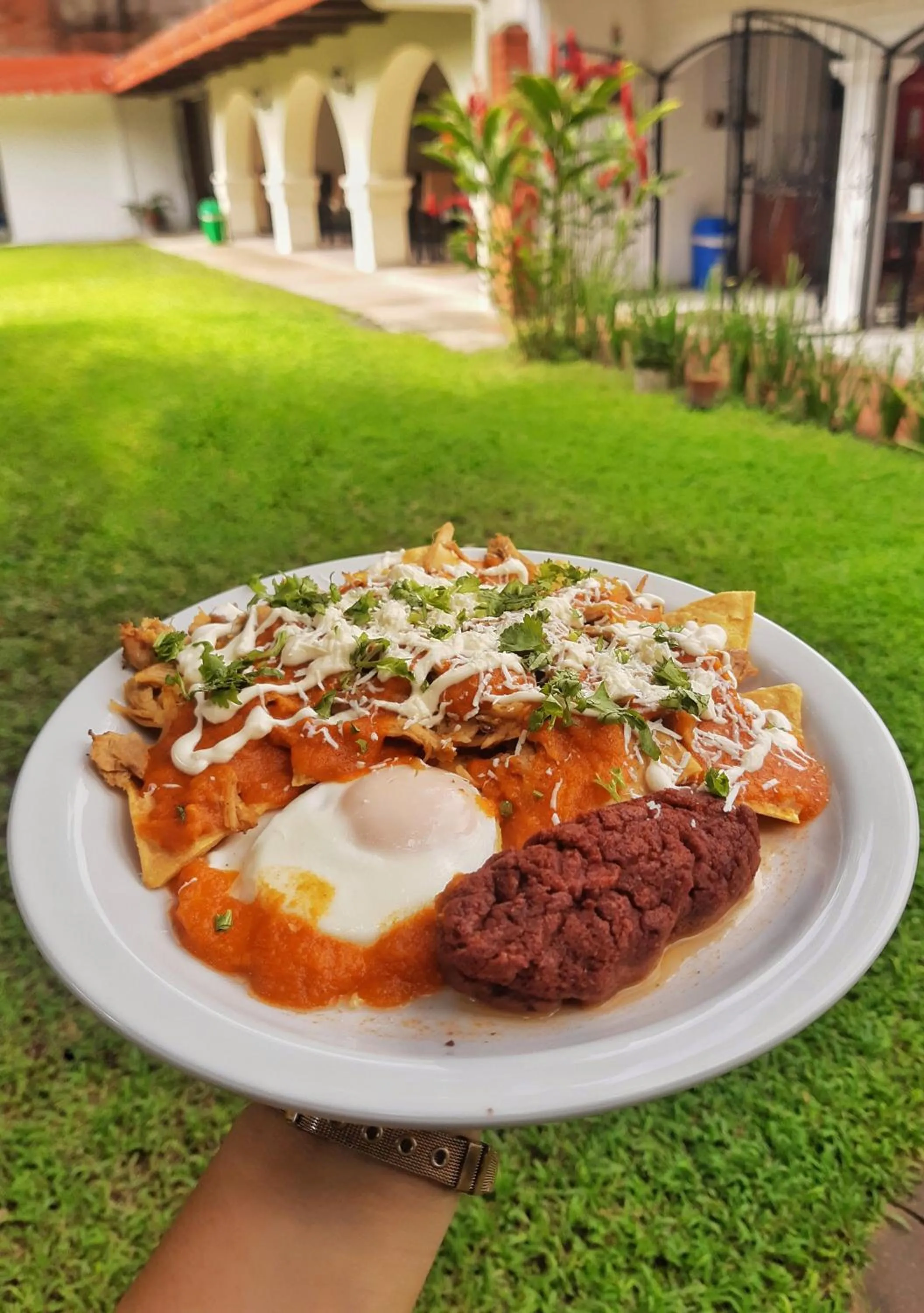 Food and drinks in Suites & Apartments San Benito - Zona Rosa