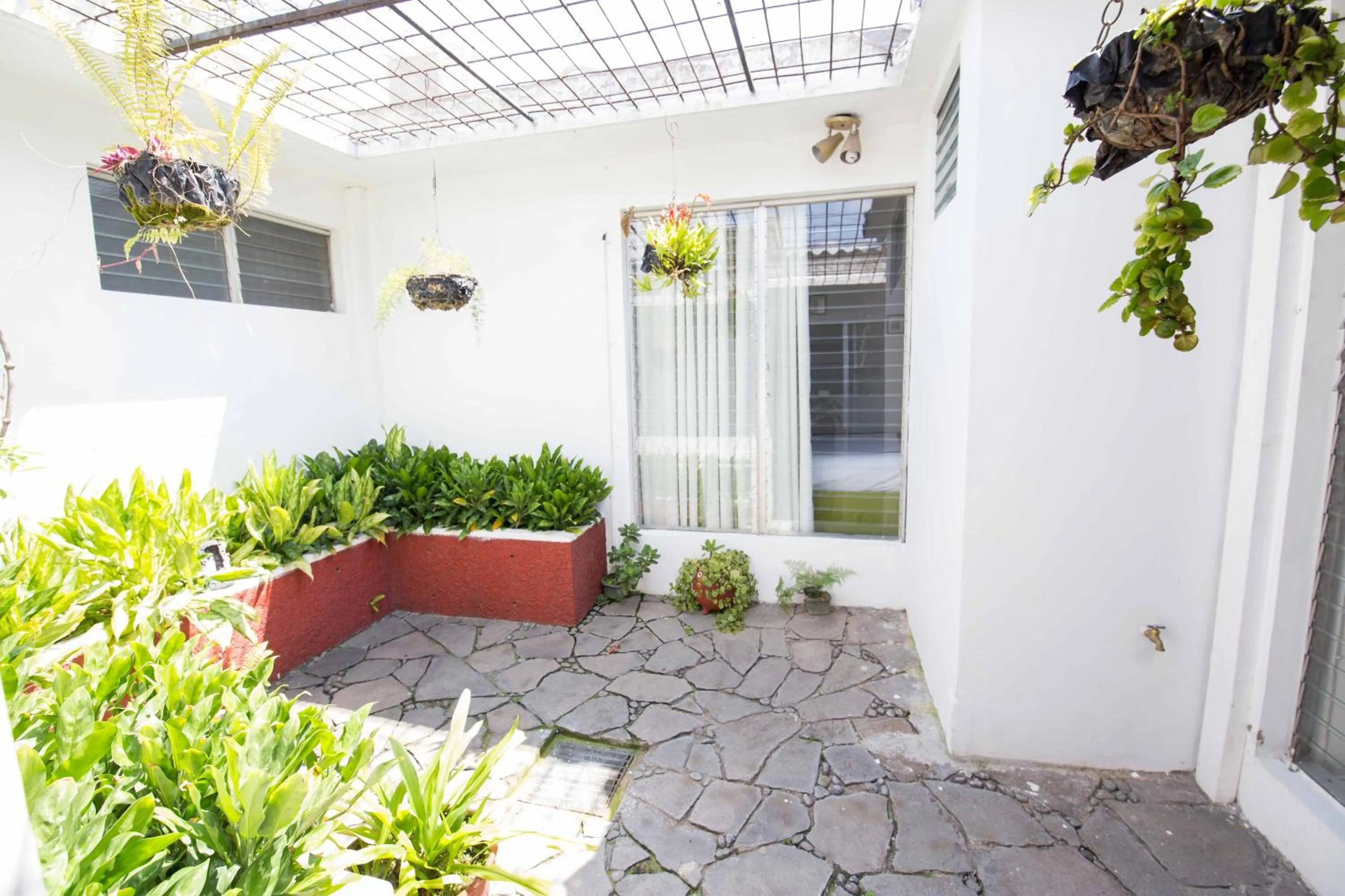 Balcony/Terrace in Suites & Apartments San Benito - Zona Rosa