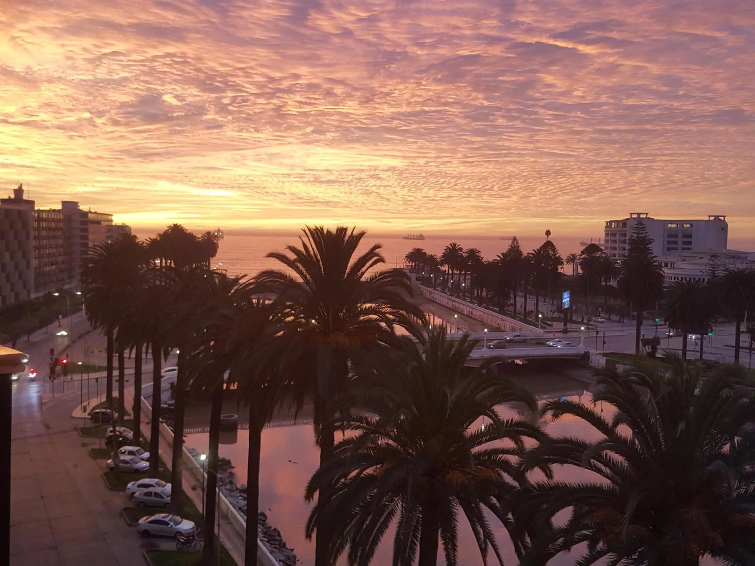 Departamento Viña del Mar Rapa Nui