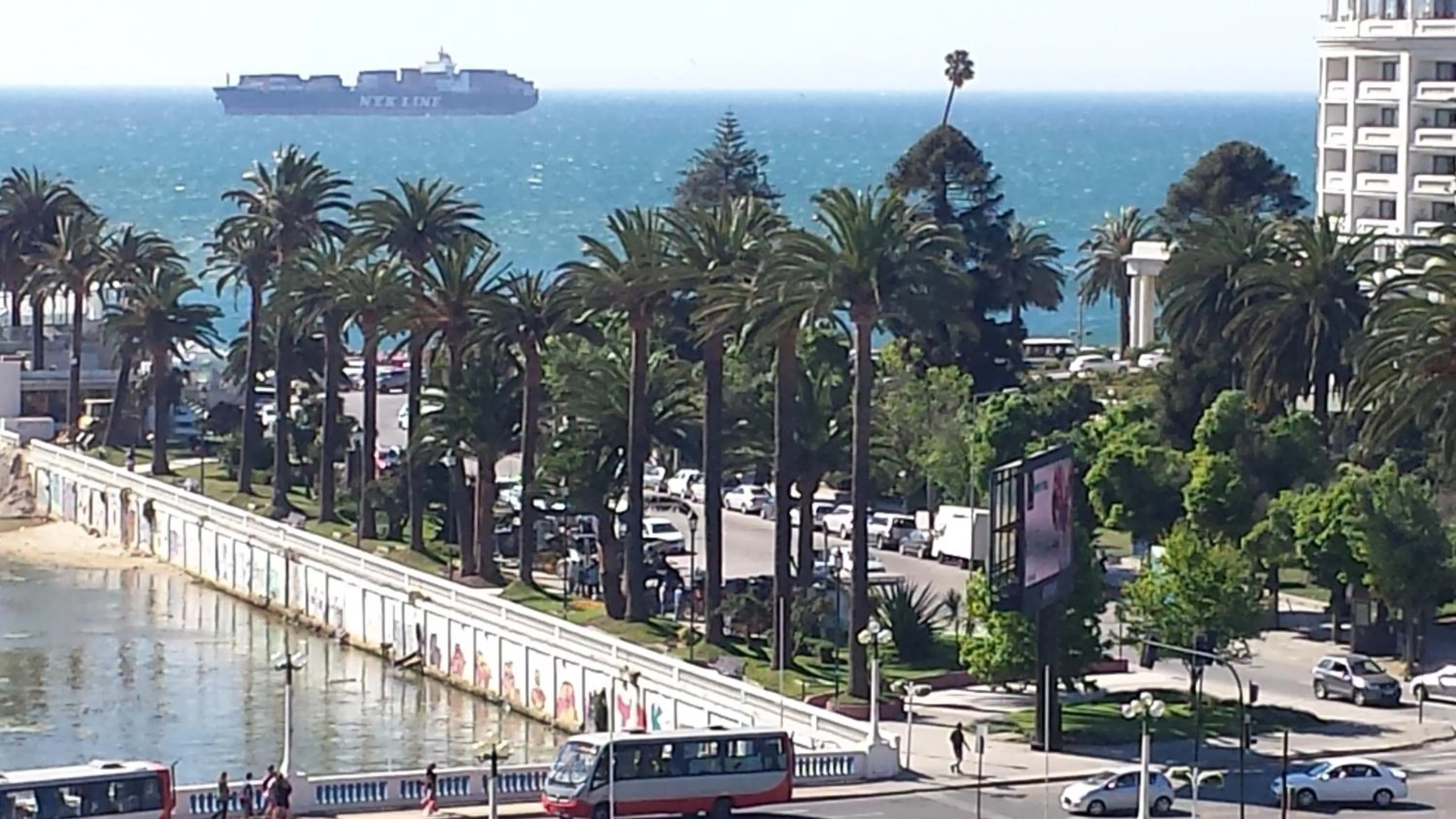 Departamento Viña del Mar Rapa Nui