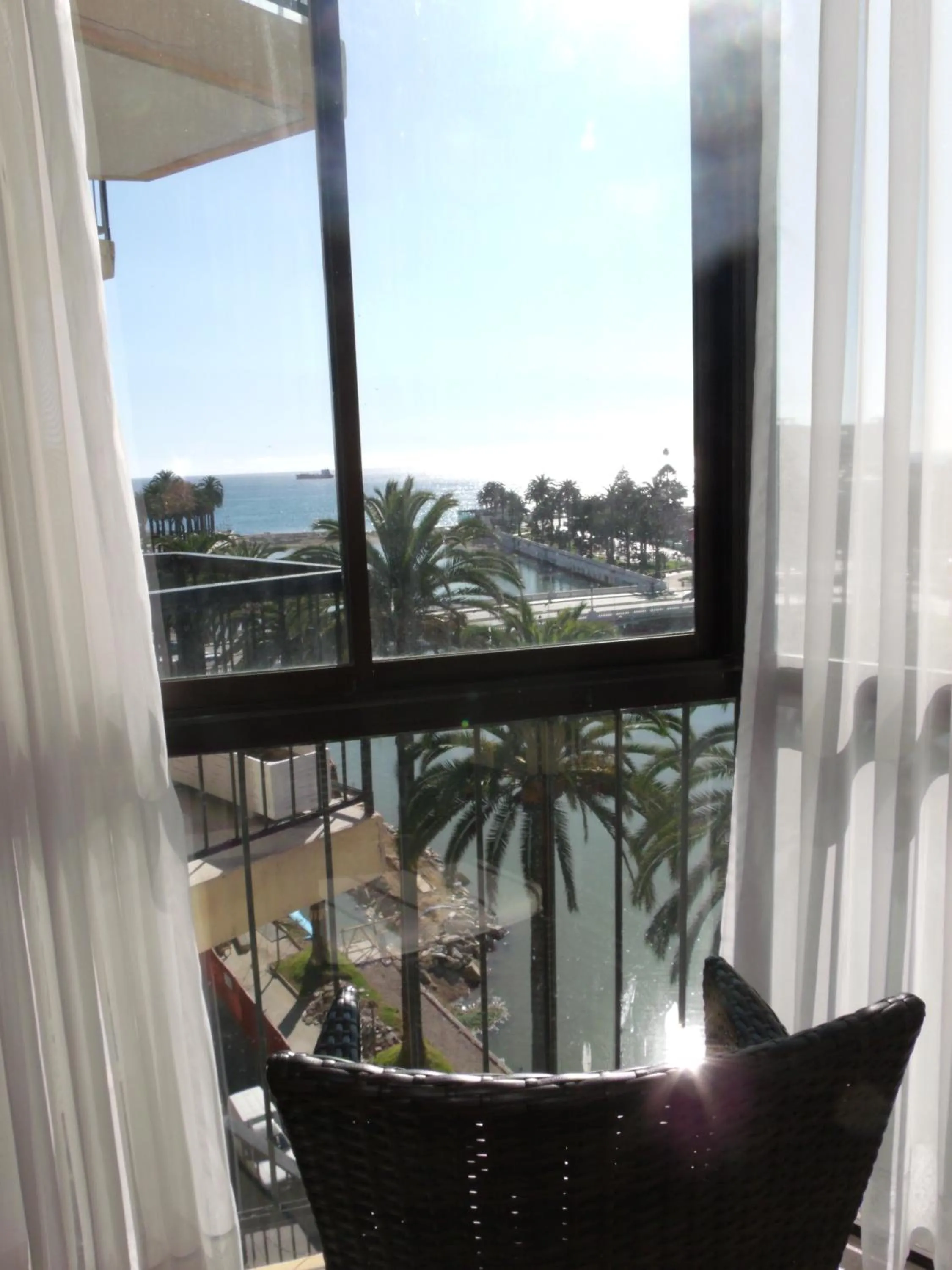 Departamento Viña del Mar Rapa Nui