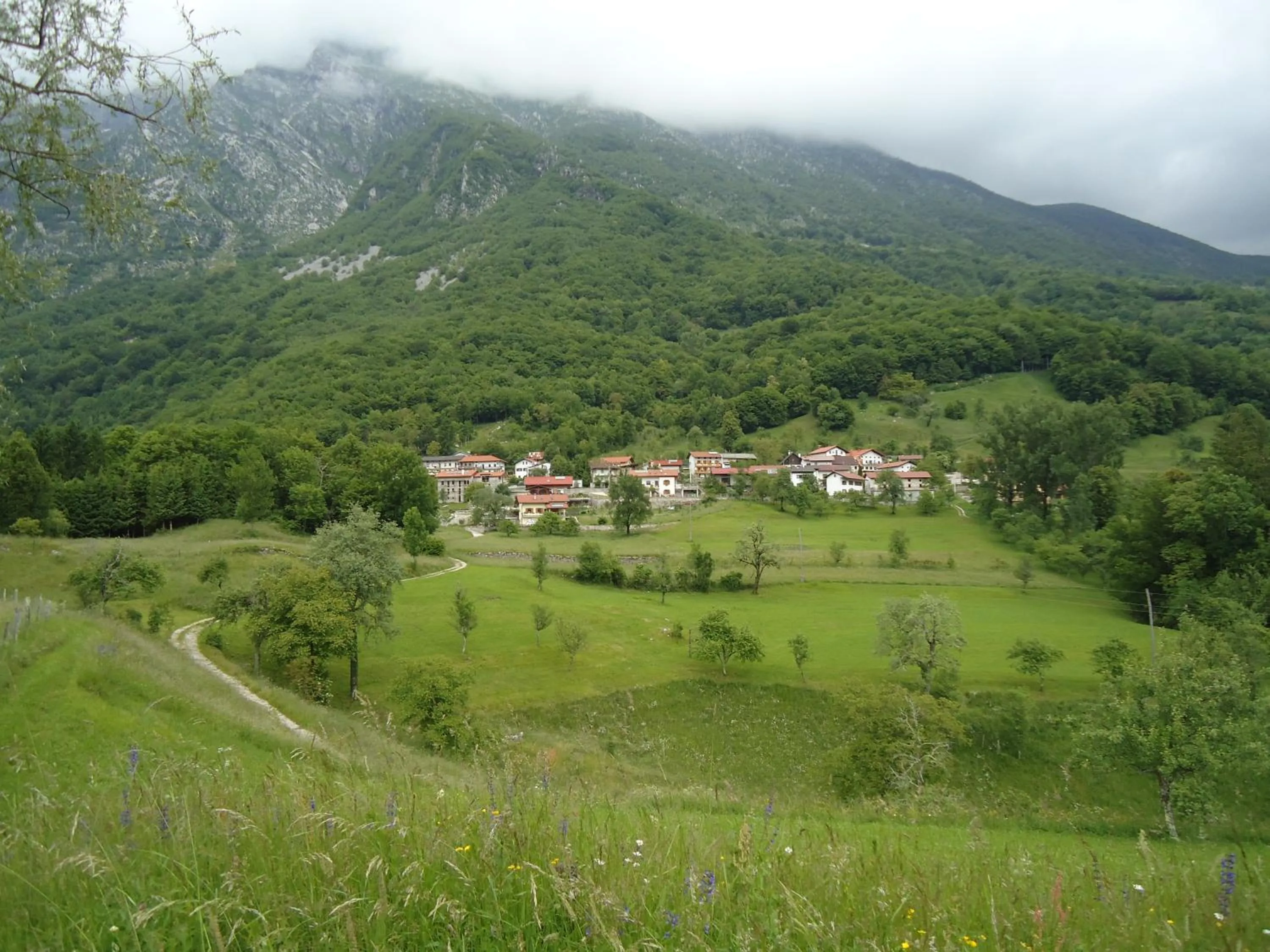 Natural landscape in Apartment Šavli
