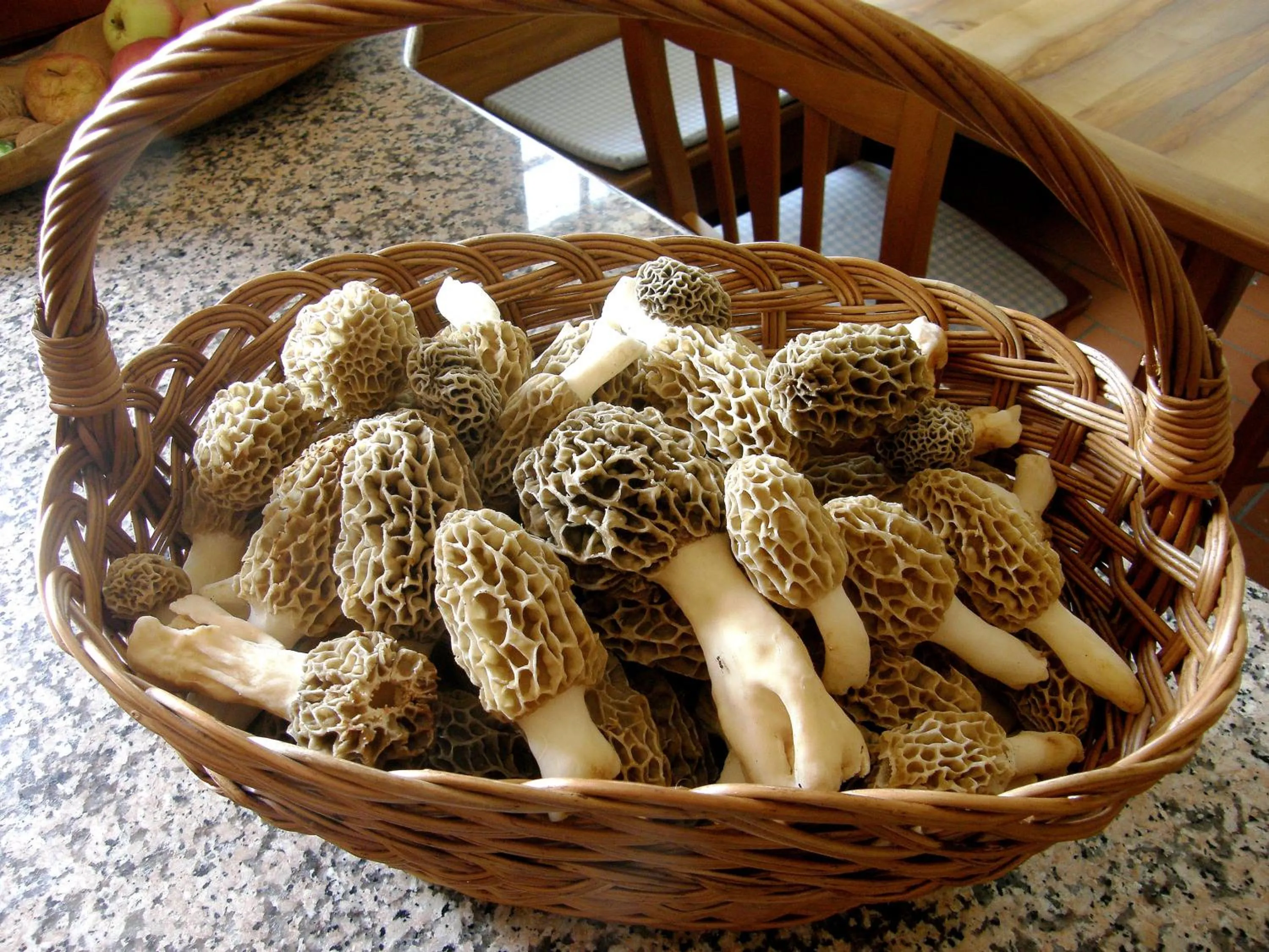 Meals in Apartment Šavli