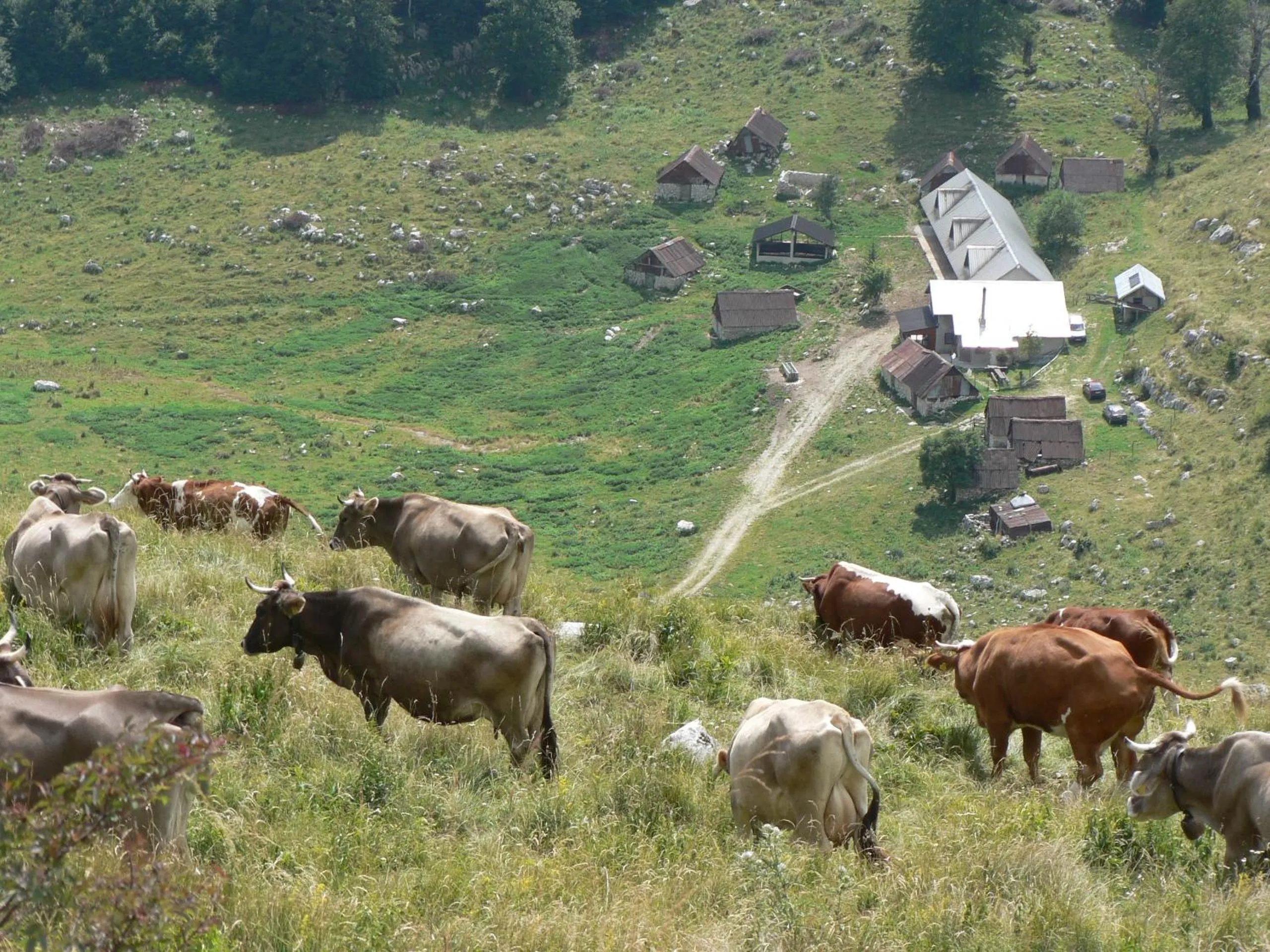 Nearby landmark in Apartment Šavli