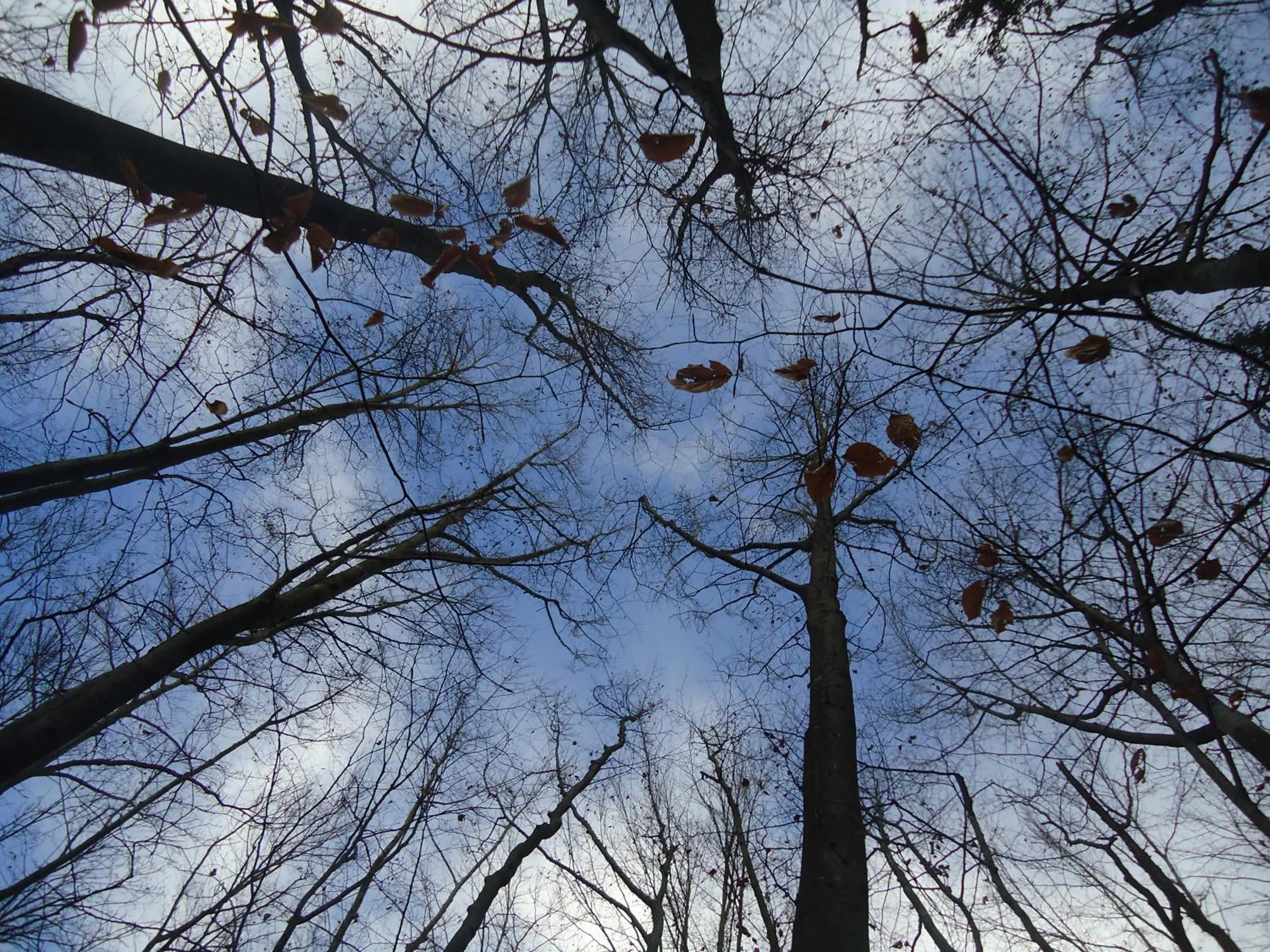 Natural landscape in Apartment Šavli