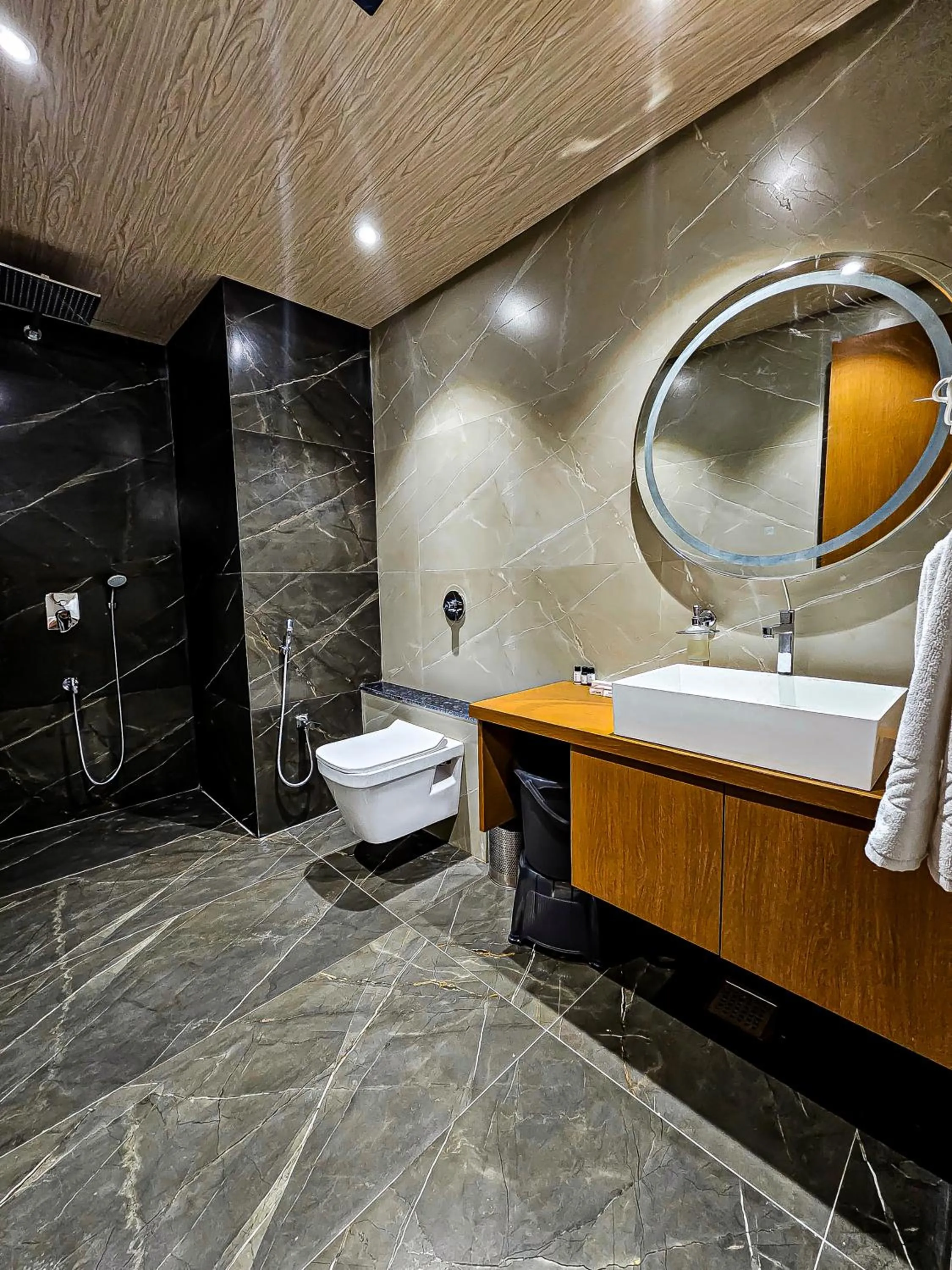 Shower in The S Crown Somnath