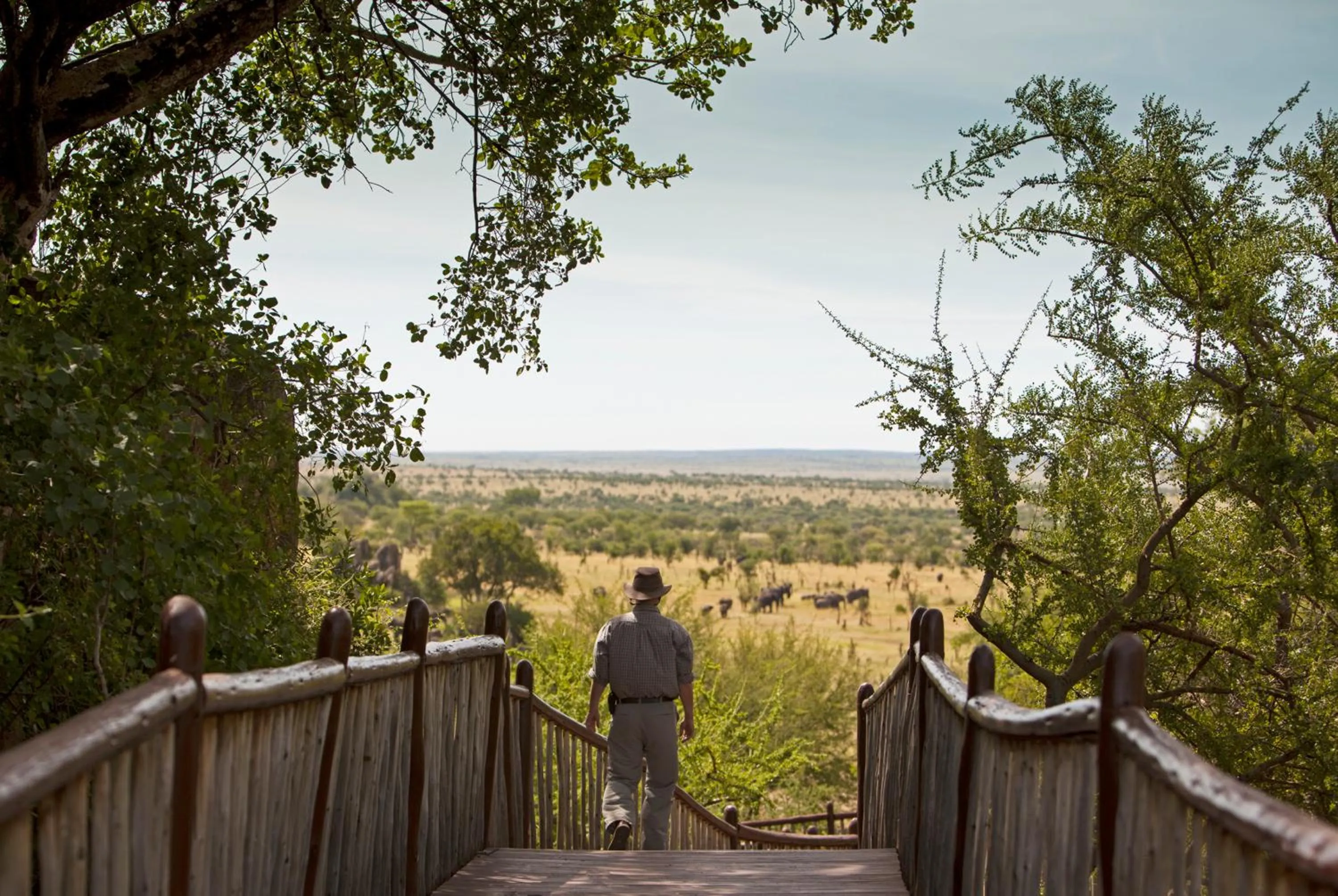 Facade/entrance in Four Seasons Safari Lodge Serengeti
