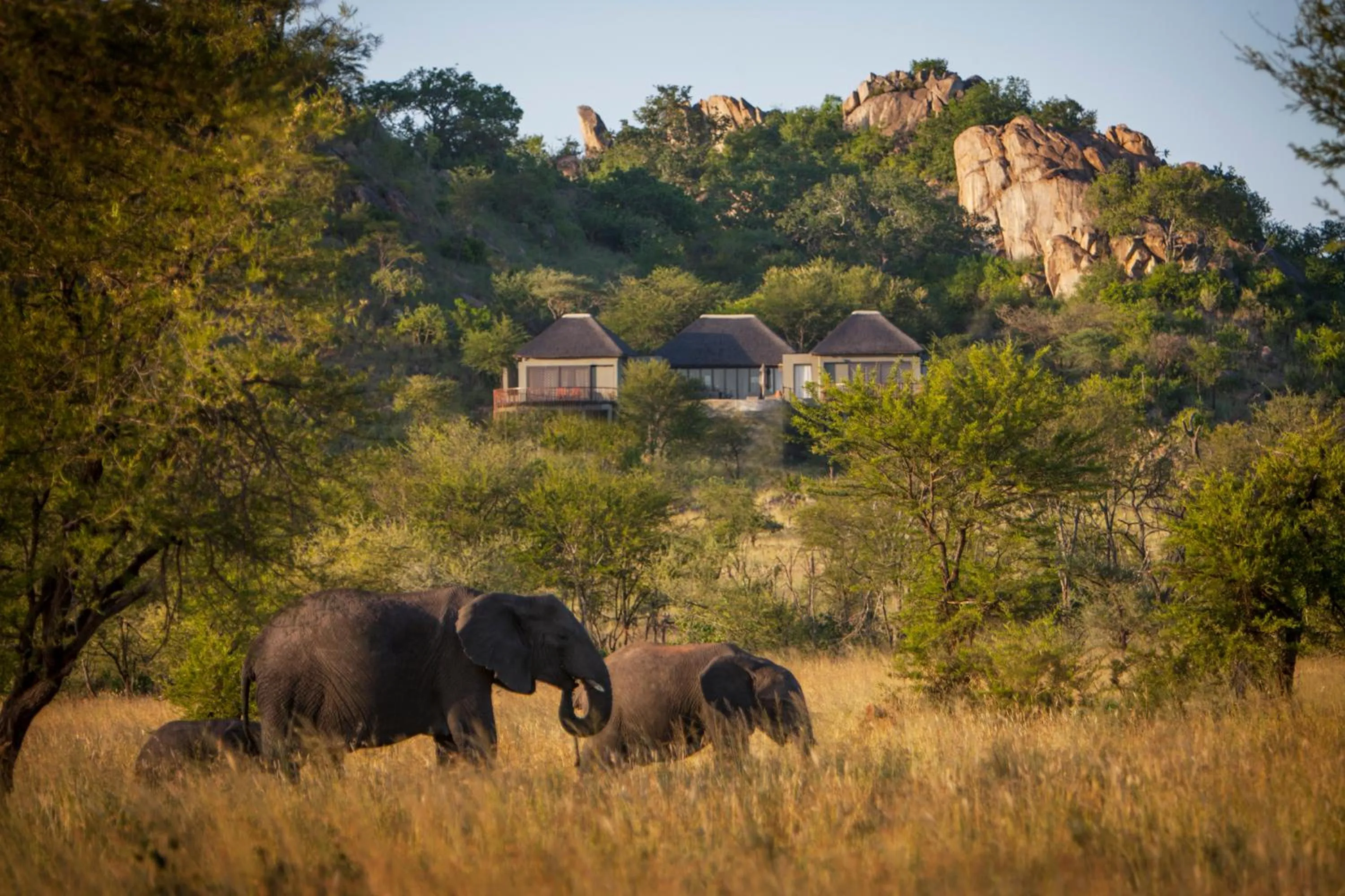 Facade/entrance in Four Seasons Safari Lodge Serengeti