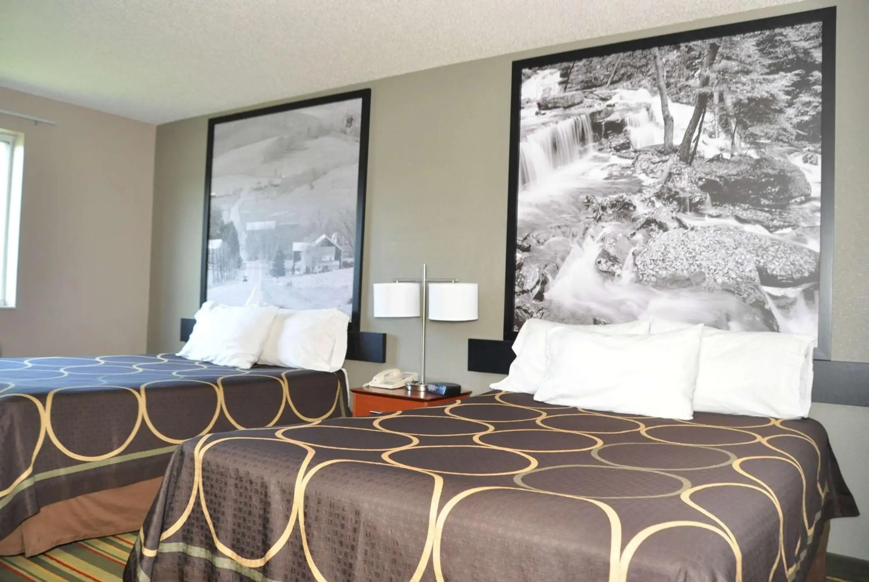 Photo of the whole room, Bed in Super 8 by Wyndham Clearfield Photo of the whole room, Bed in Super 8 by Wyndham Clearfield