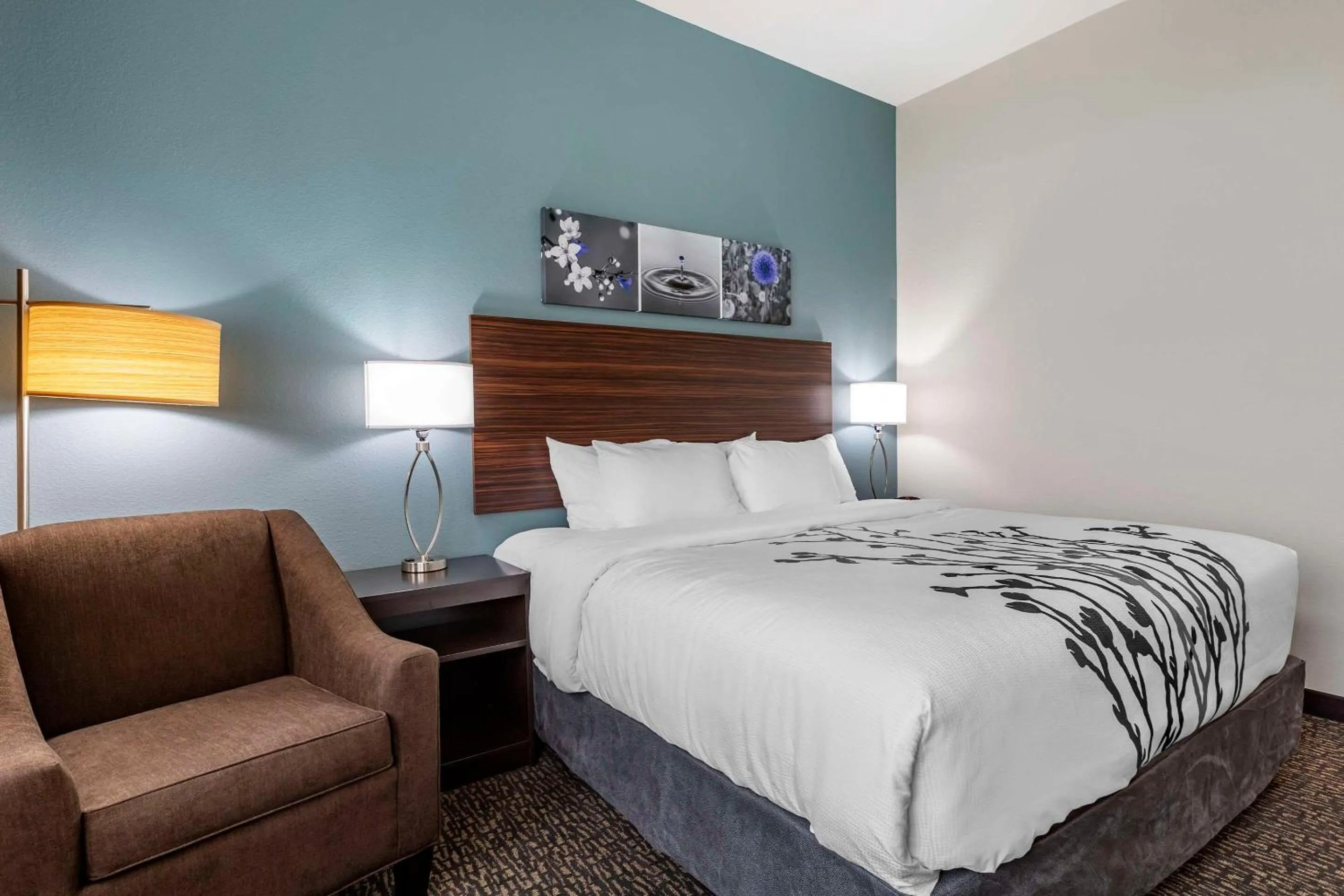 Bedroom, Bed in Sleep Inn & Suites Milwaukee-Franklin