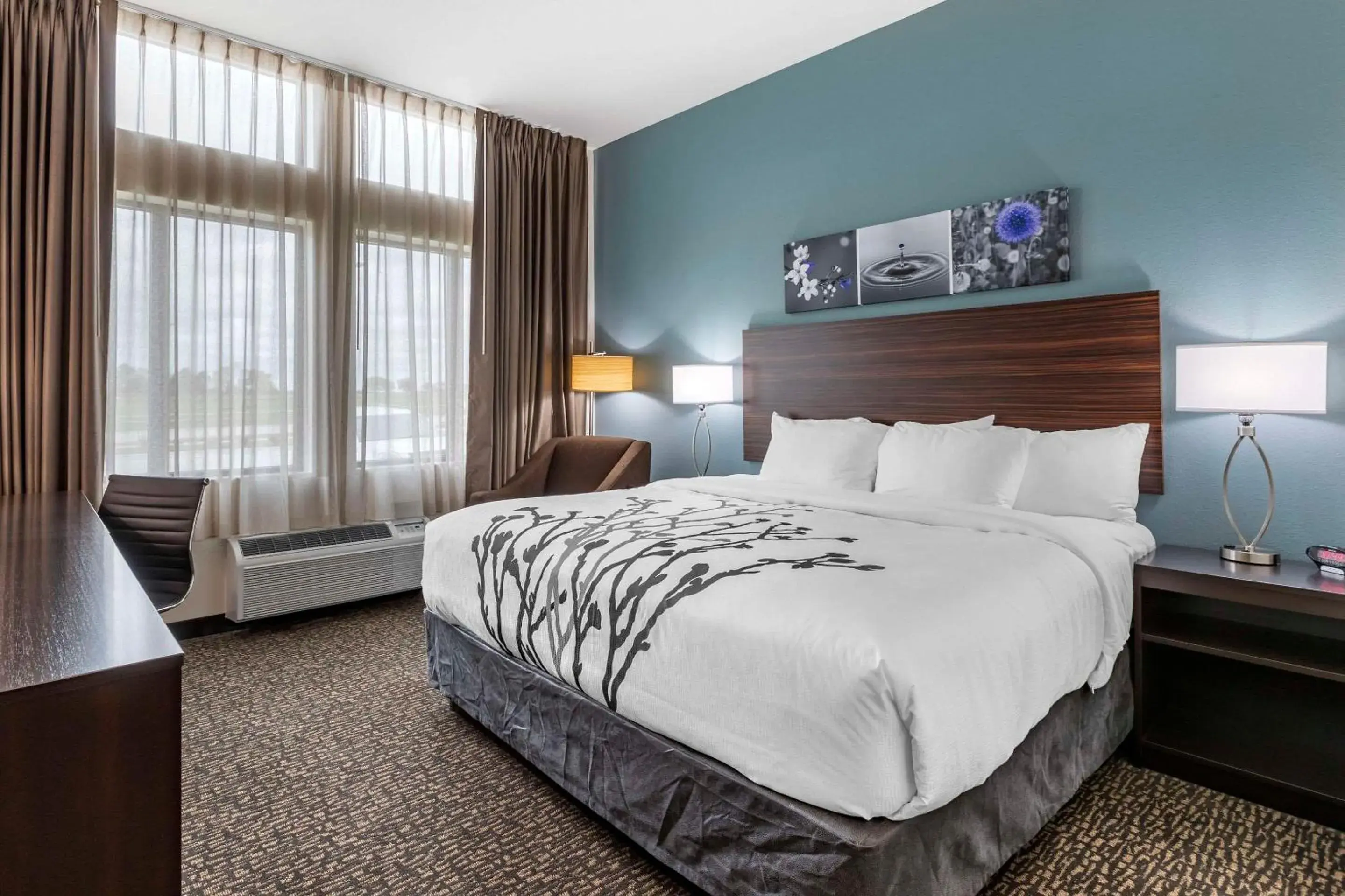 King Room with Roll-In Shower/Disability Access - Non Smoking in Sleep Inn & Suites Milwaukee-Franklin King Room with Roll-In Shower/Disability Access - Non Smoking in Sleep Inn & Suites Milwaukee-Franklin