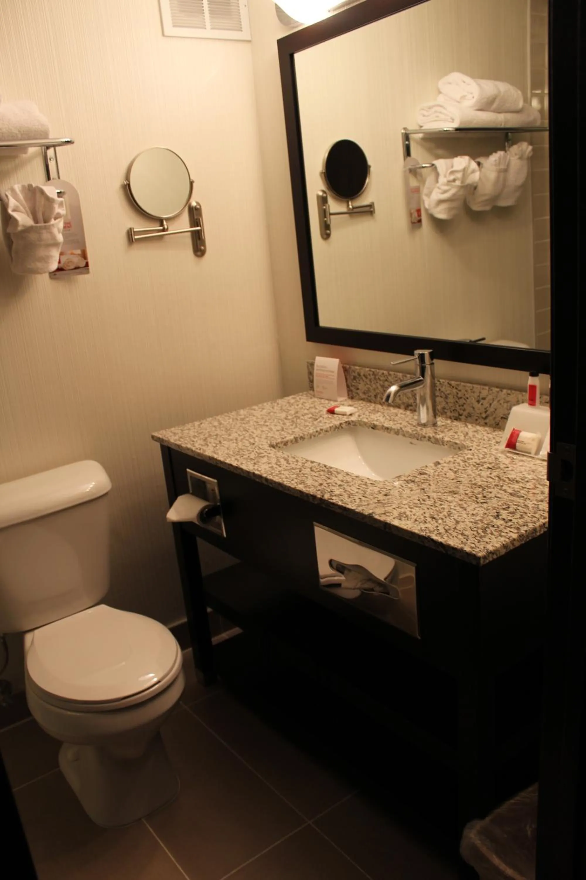 Toilet in Ramada Plaza by Wyndham Regina Downtown