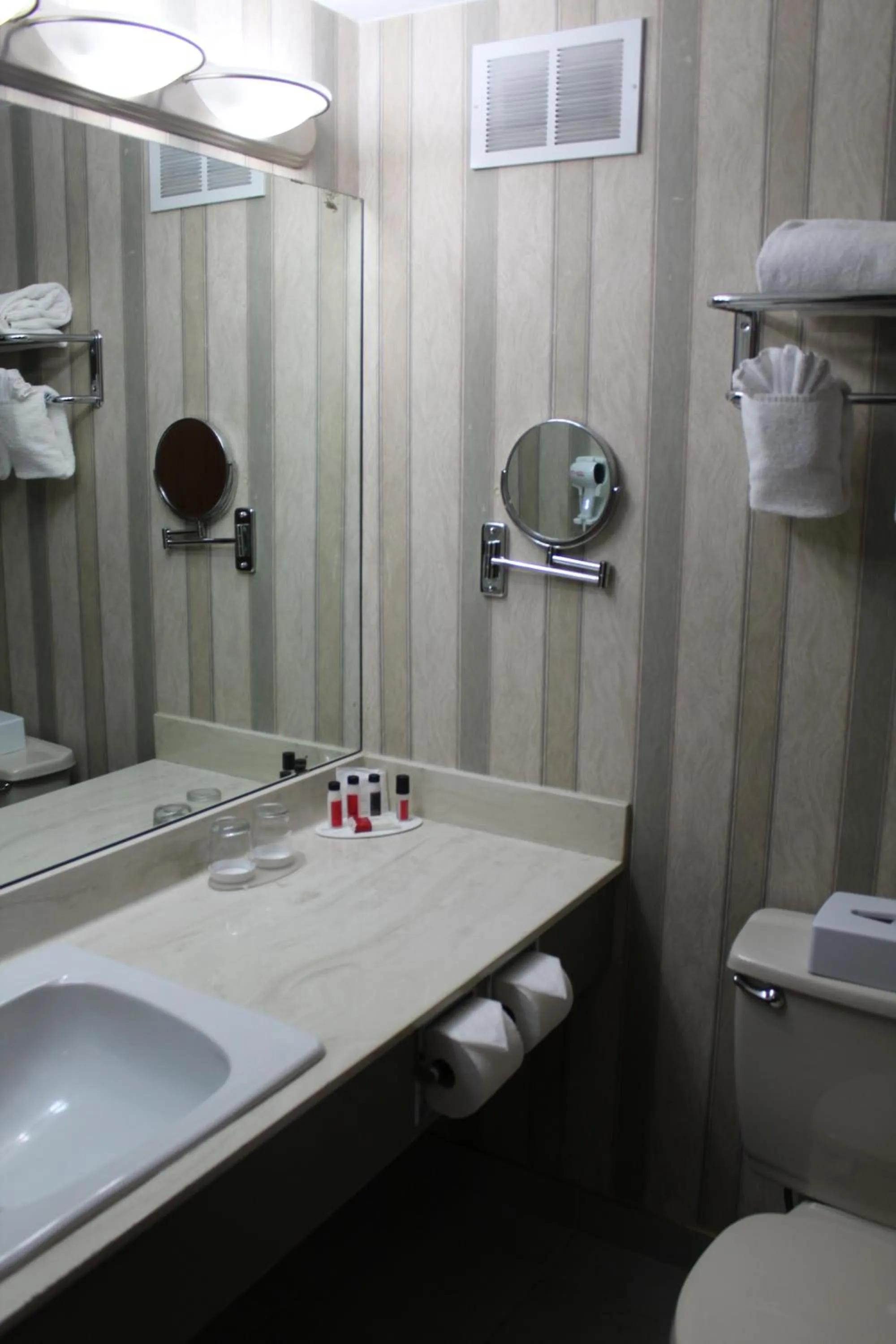 Bathroom in Ramada Plaza by Wyndham Regina Downtown
