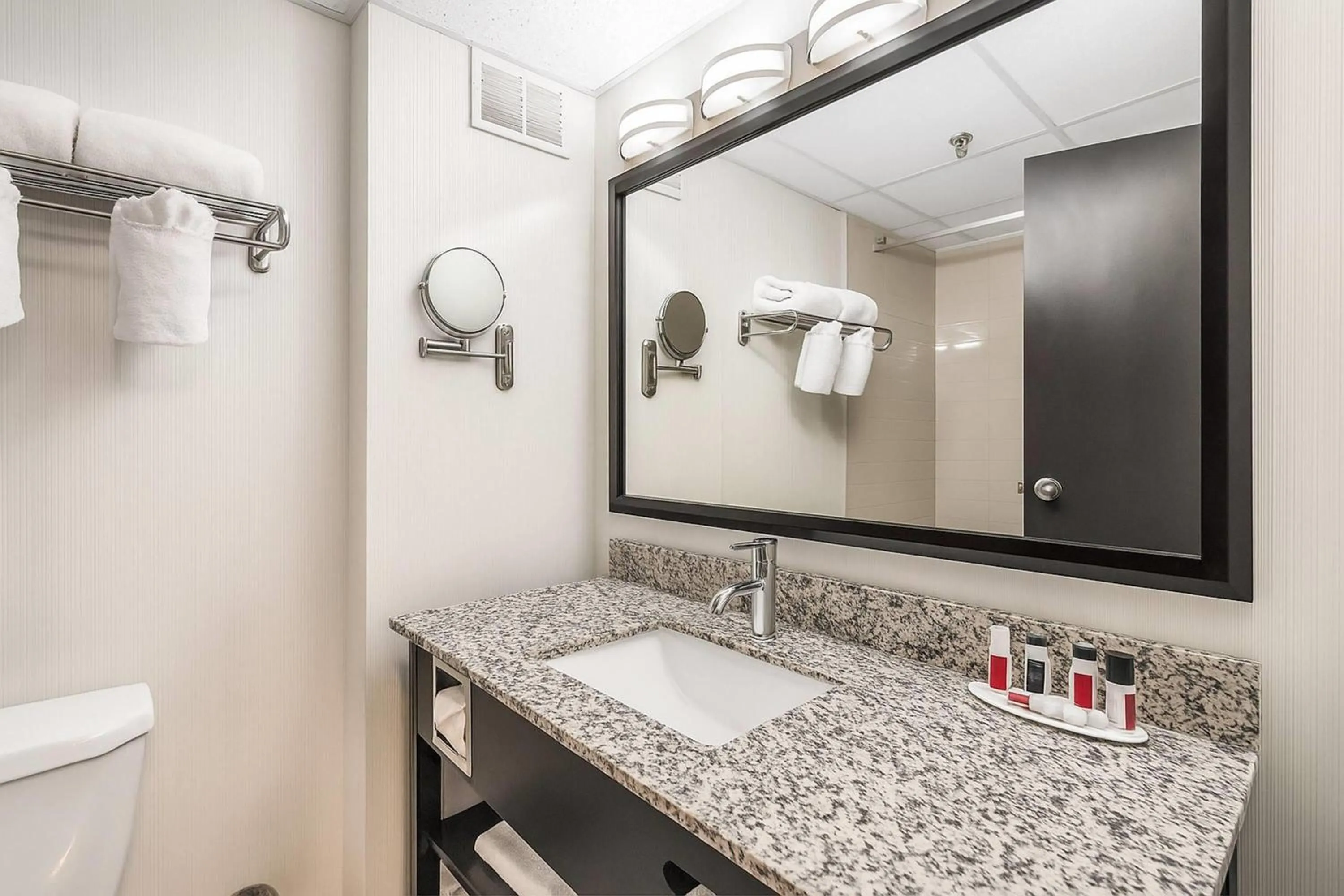 Bathroom in Ramada Plaza by Wyndham Regina Downtown